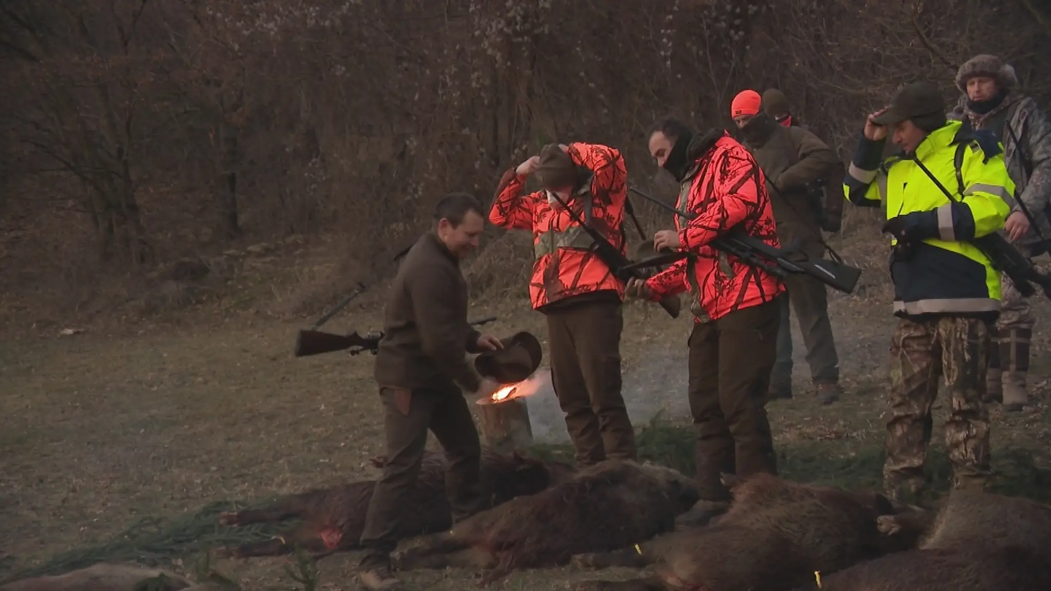 Africký mor stále ohrozuje Slovensko. Pre zredukovanie diviačej zveri sa poľovalo aj v Bratislave