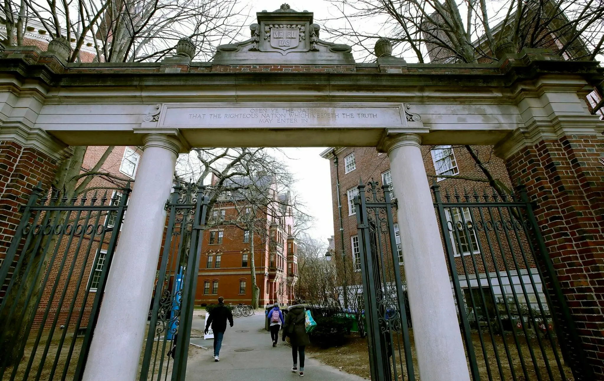 Univerzita Harvard