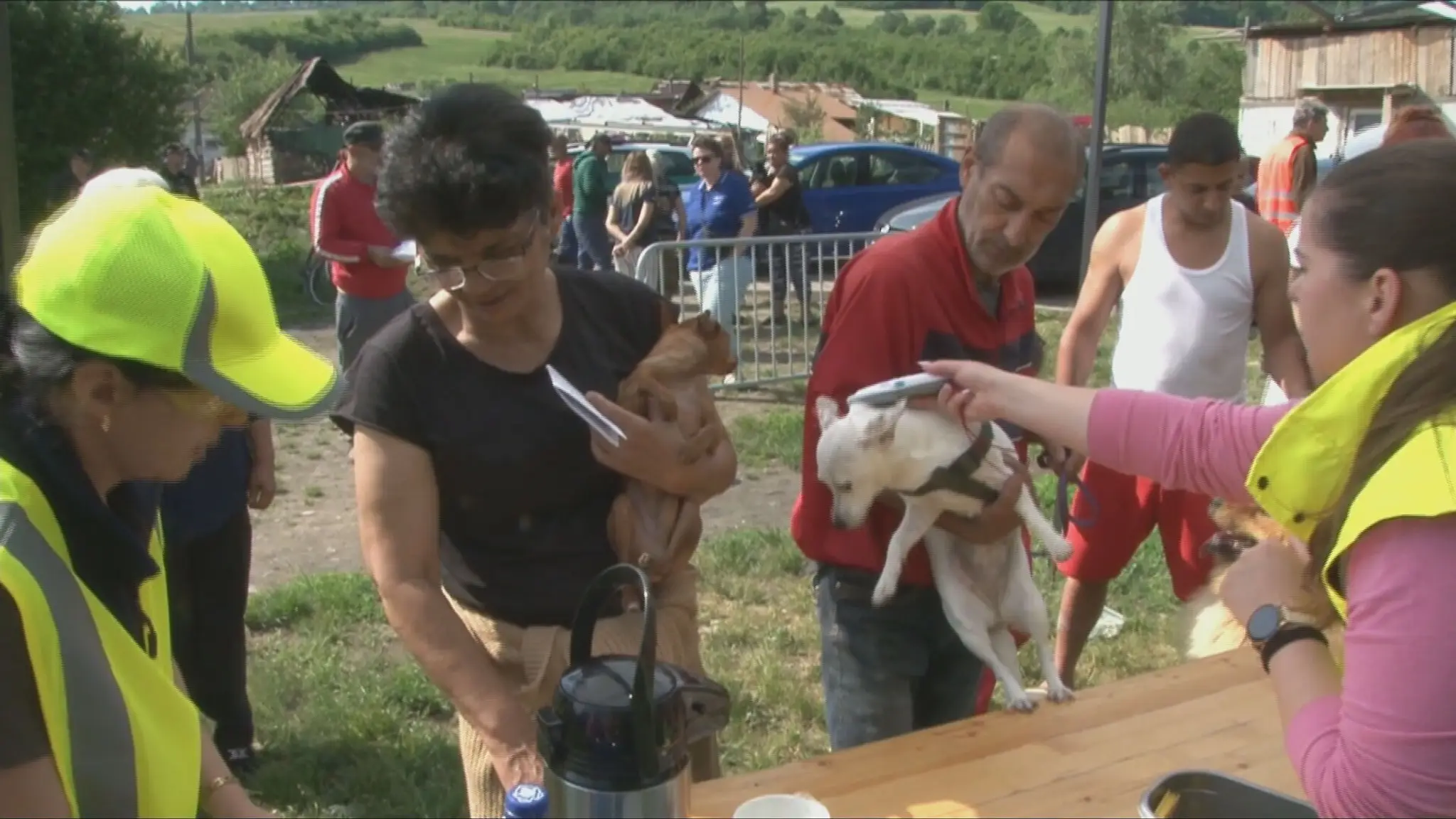 Veterinárna akcia v obci Zborov