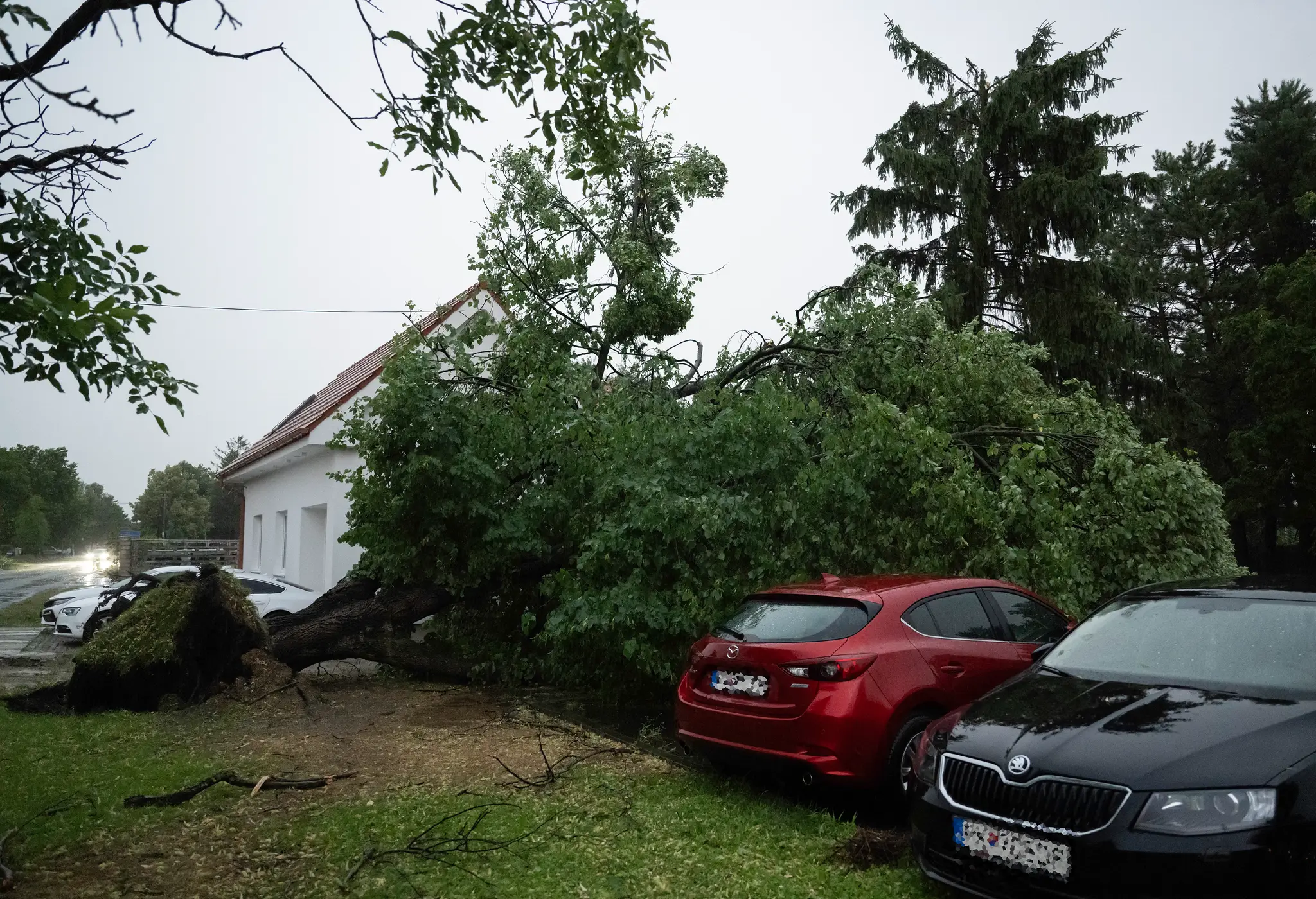 Následky búrky na východnom Slovensku
