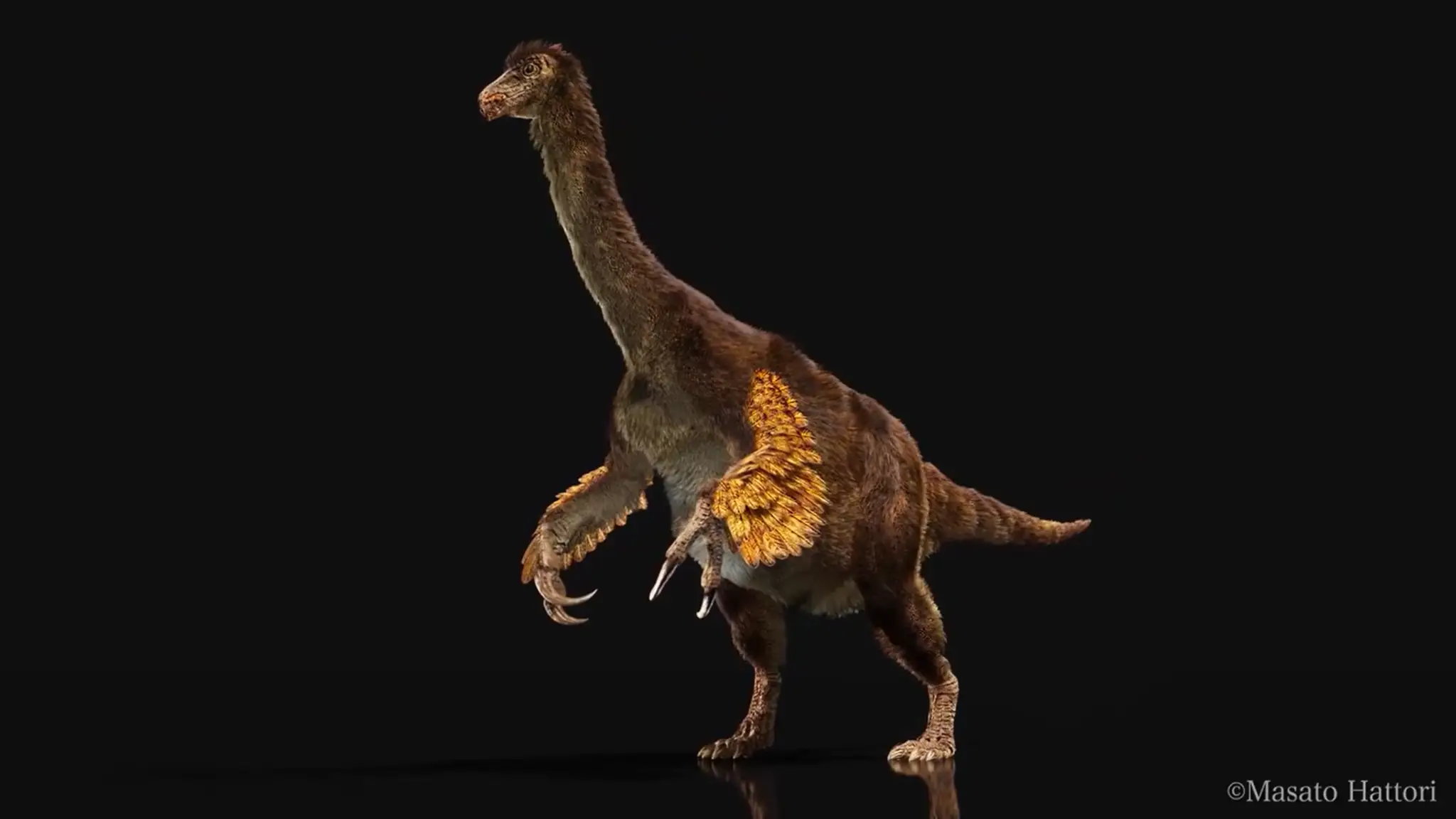 Archeológovia objavili pozostatky unikátneho druhu dinosaurov