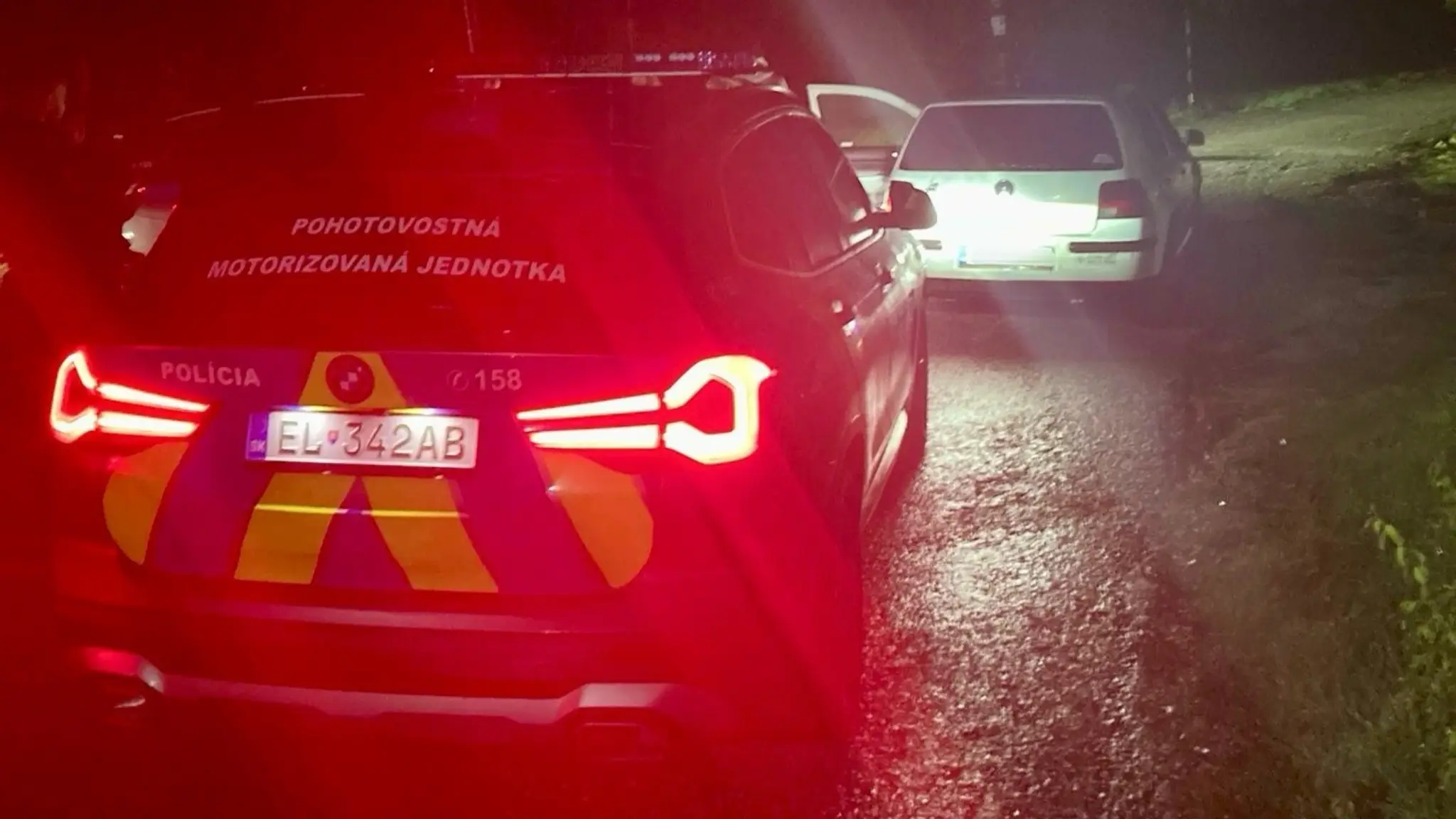 Policajný záťah