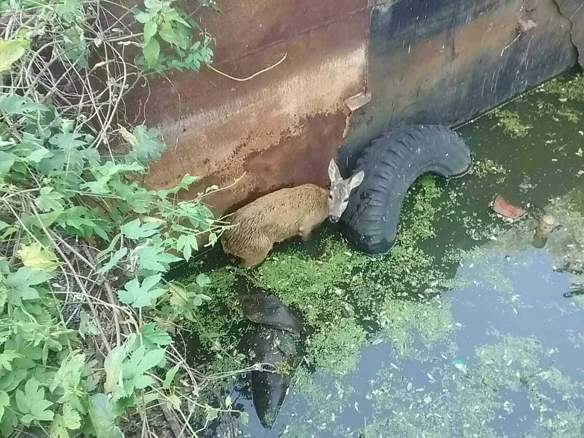 Hviezdy zo Sily ženy na spoločnom obede