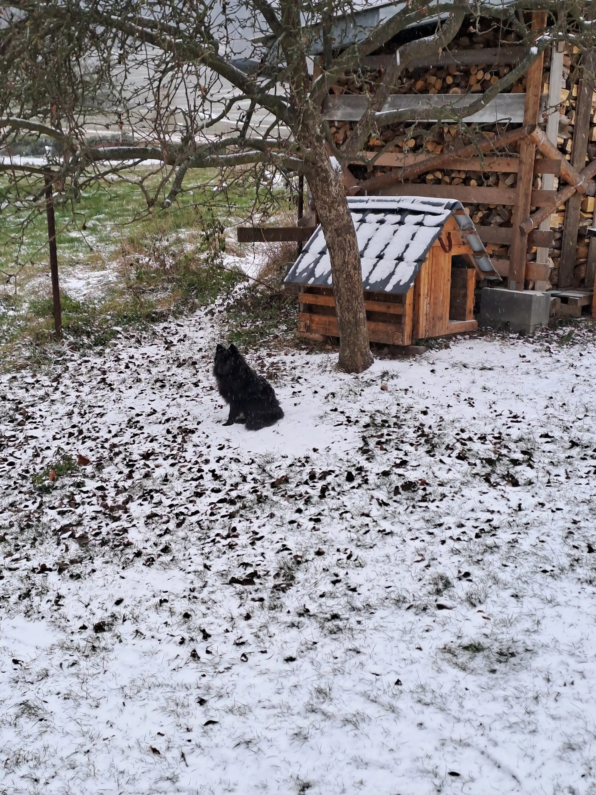 Obec Sklené pri Turčianskych Tepliciach.