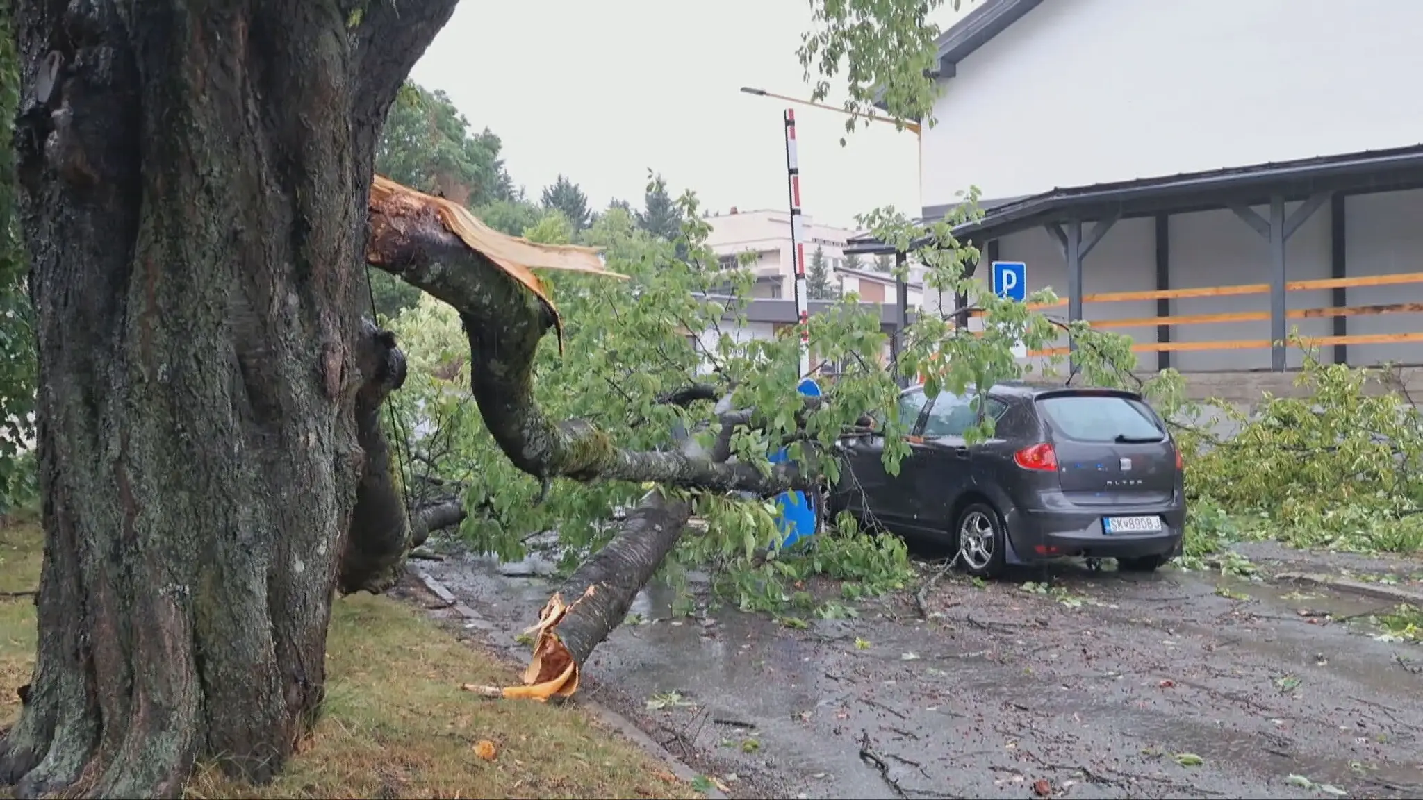 Na muža v aute spadol strom