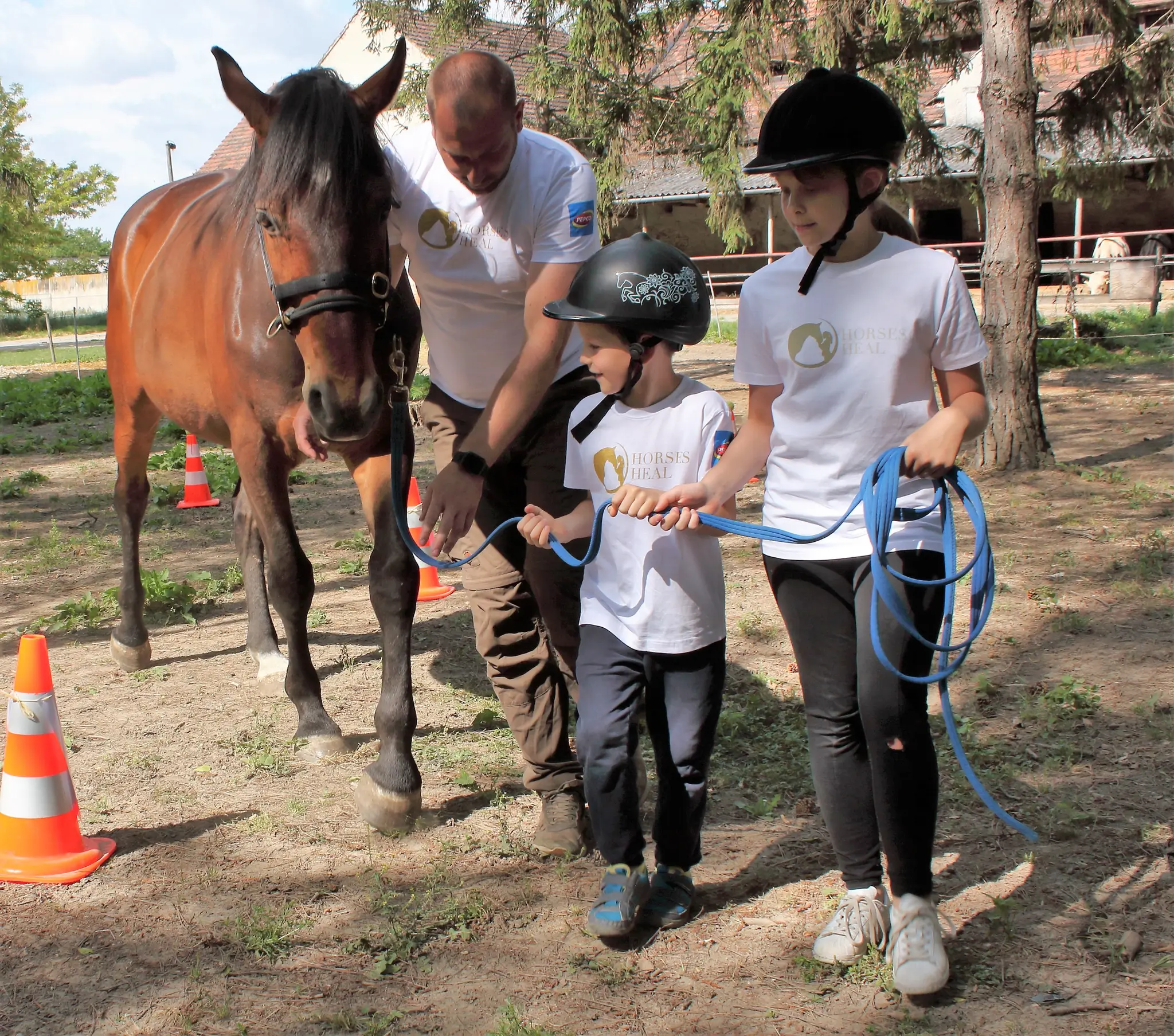 Horse Heal