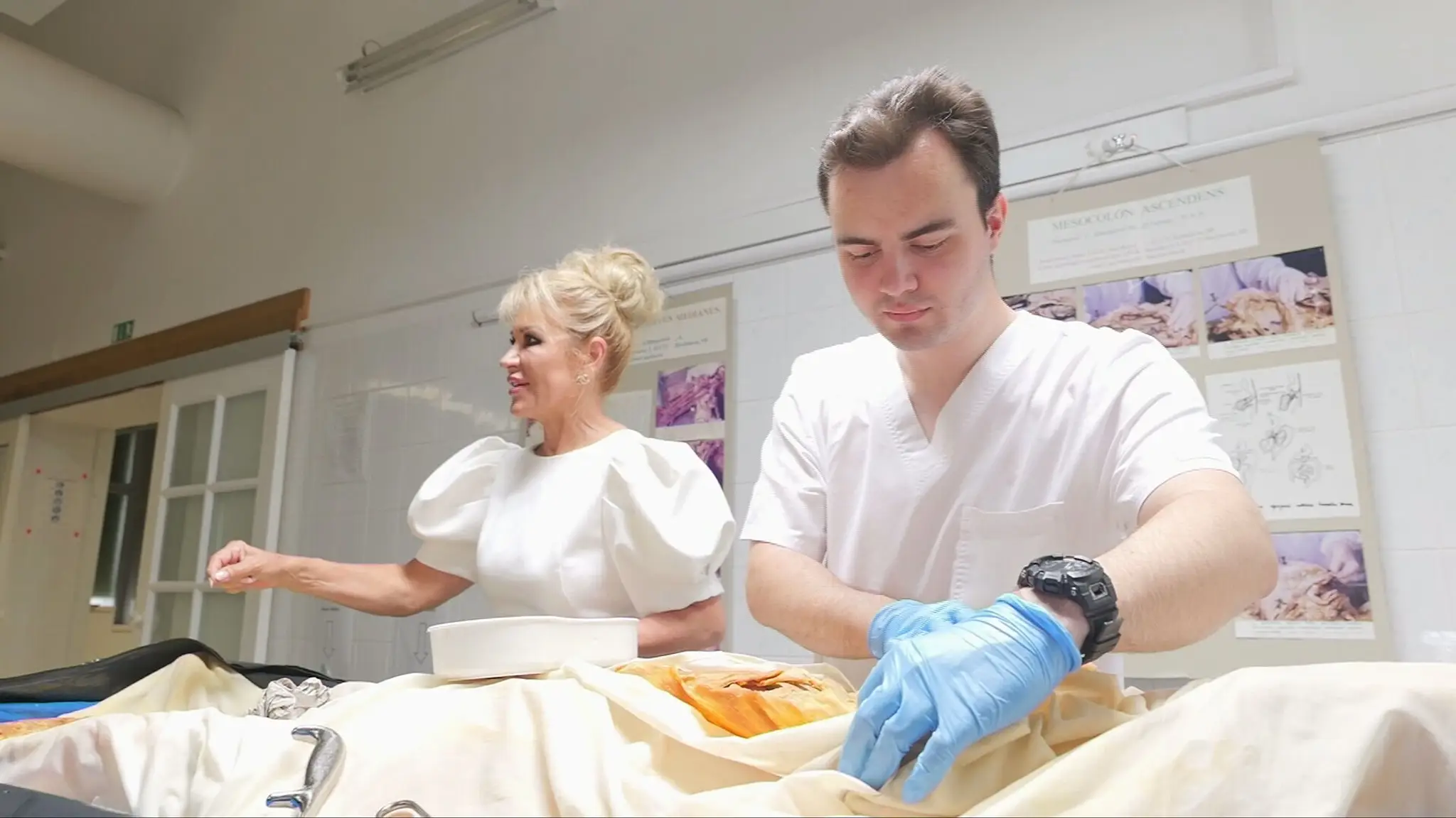 Anatomický ústav LF UK.