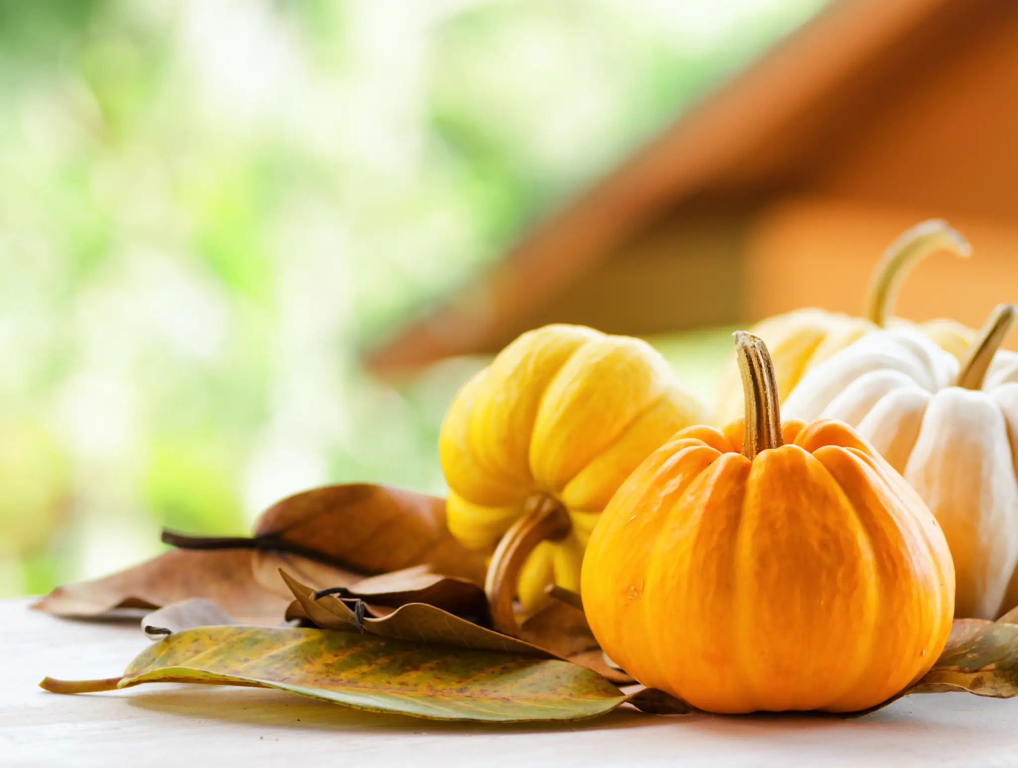 shutterstock_141564328.jpg