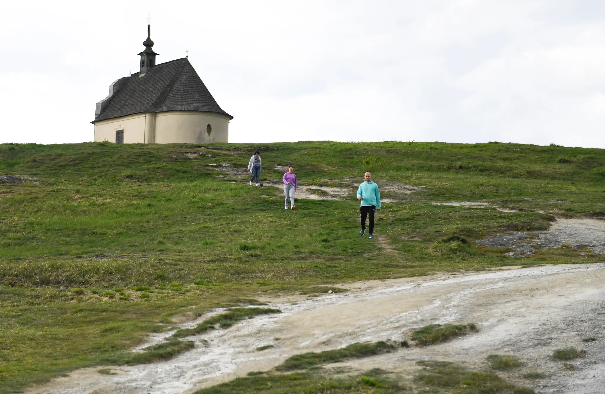 Sivá Brada.
