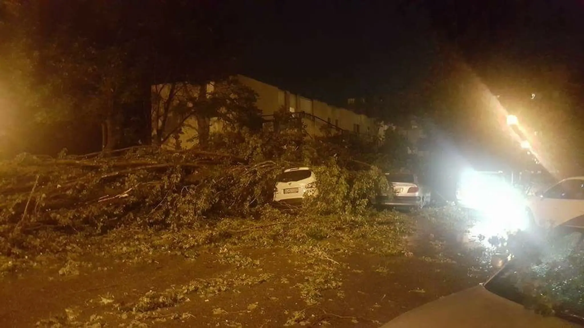 Spadnutý strom na Gwerkovej ulici v Bratislave.