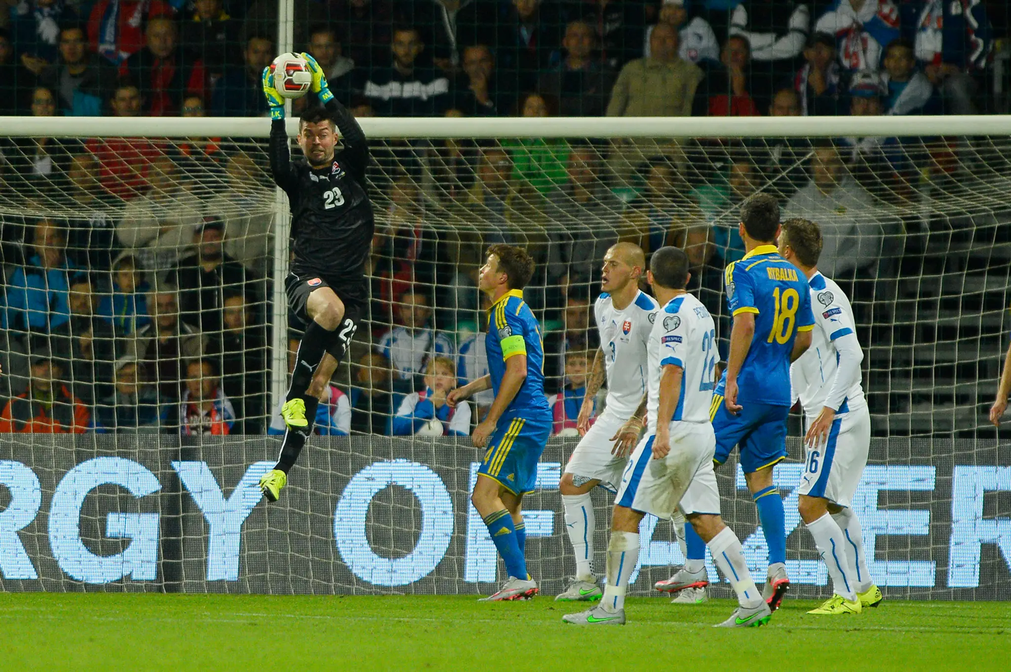 Brankár Matúš Kozáčik (Slovensko) v kvalifikačnom zápase.