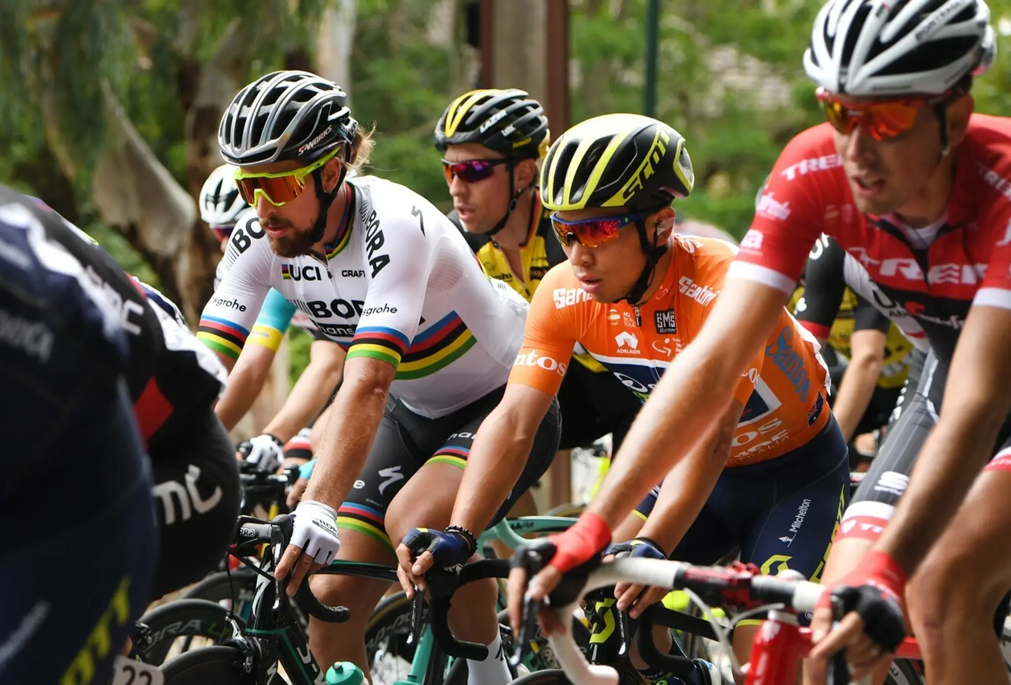 Peter Sagan v pelotóne počas druhej etapy Tour Down Under.