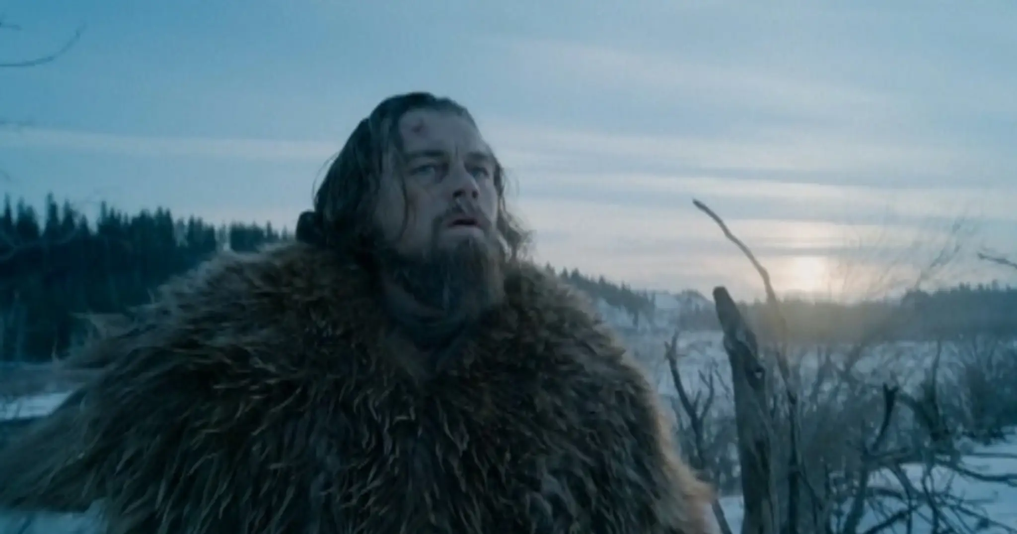 dicaprioweb_jpg_bez_watermarku_1.jpg