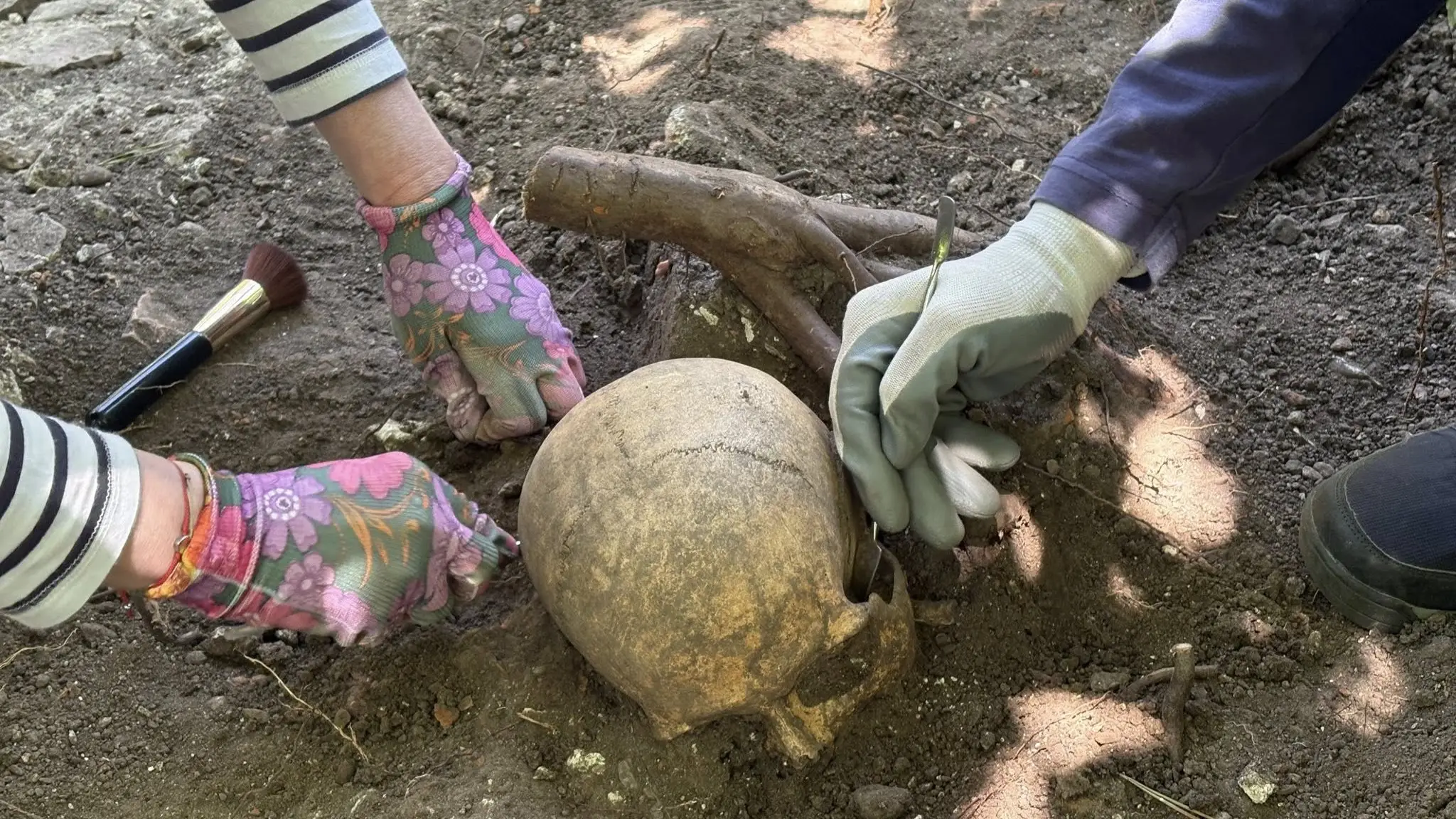 Archeologický nález na Stupavskej šibenici. 