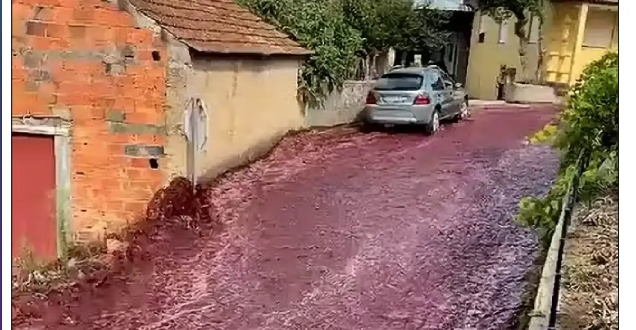 Víno tečie ulicami Sao Lorenco de Bairro.