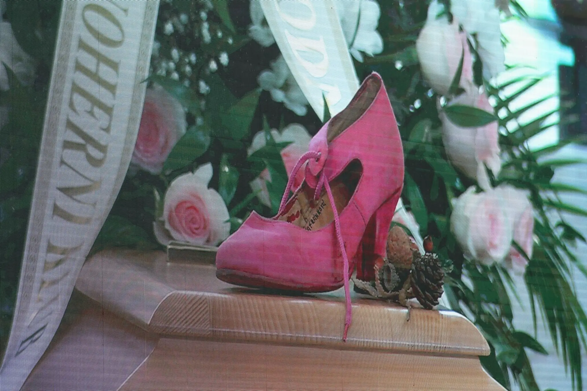 Ružová črievička na rakve