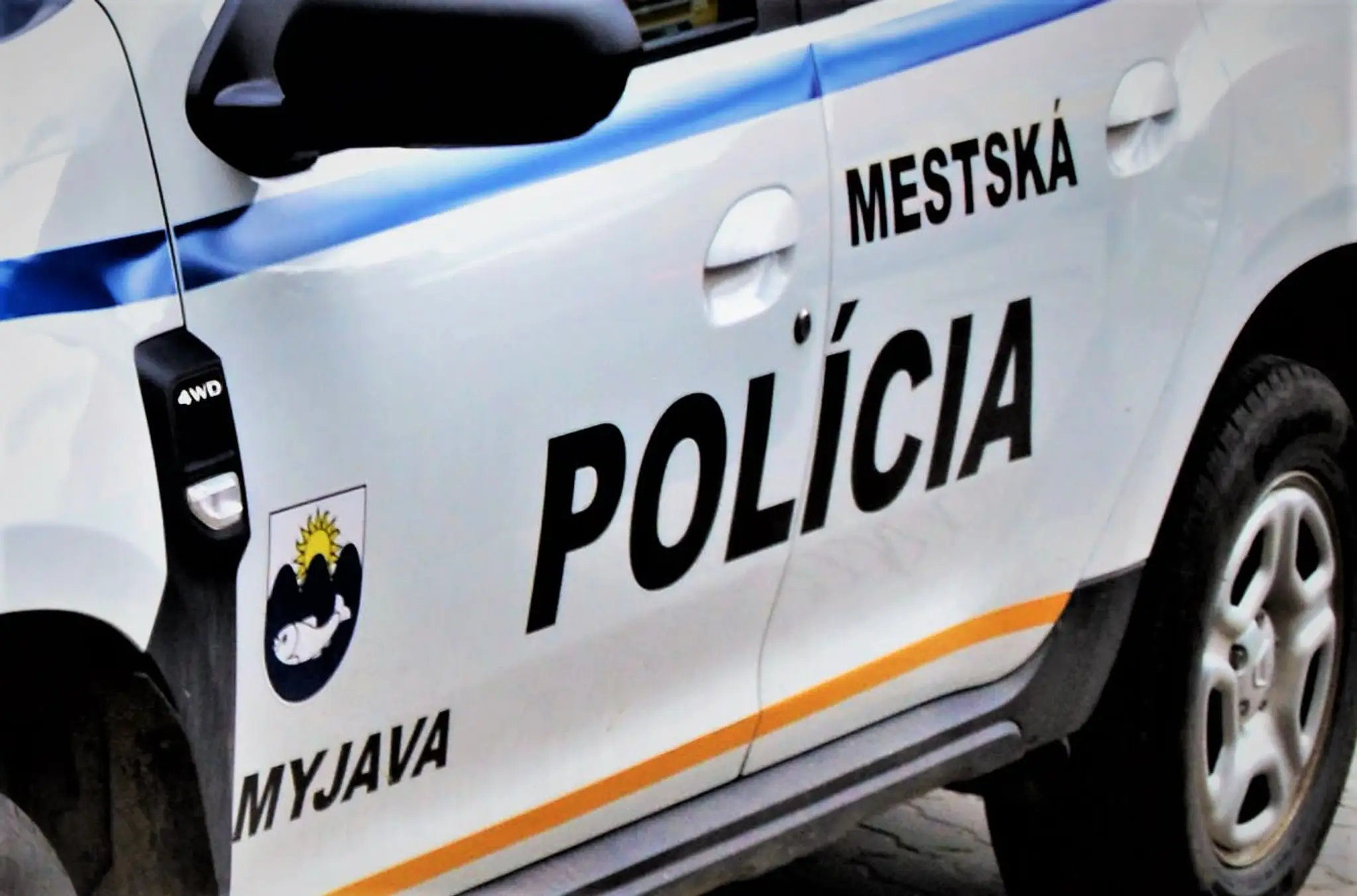 Polícia v Myjave varuje pred mužmi, ktorí chodia po domoch a ponúkajú opravy.