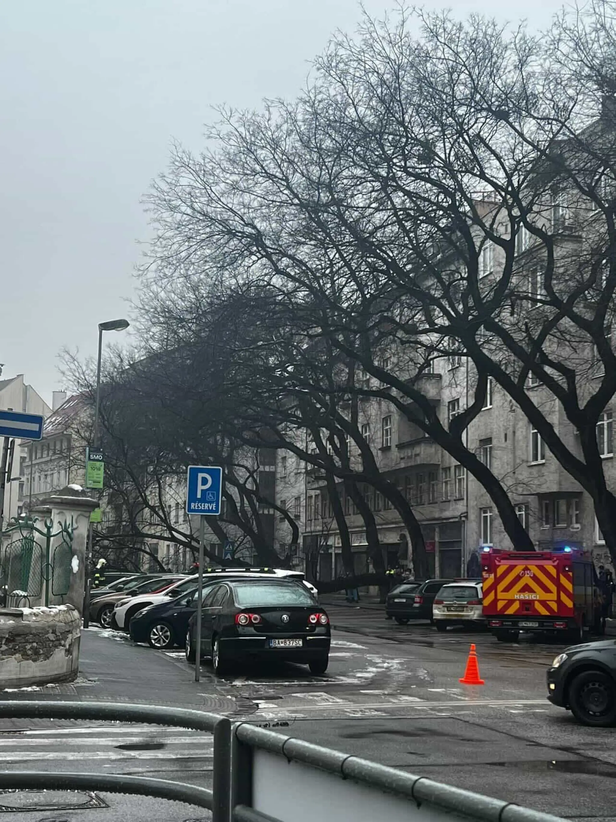 Na Grosslingovej ulici sa zrútil mohutný strom