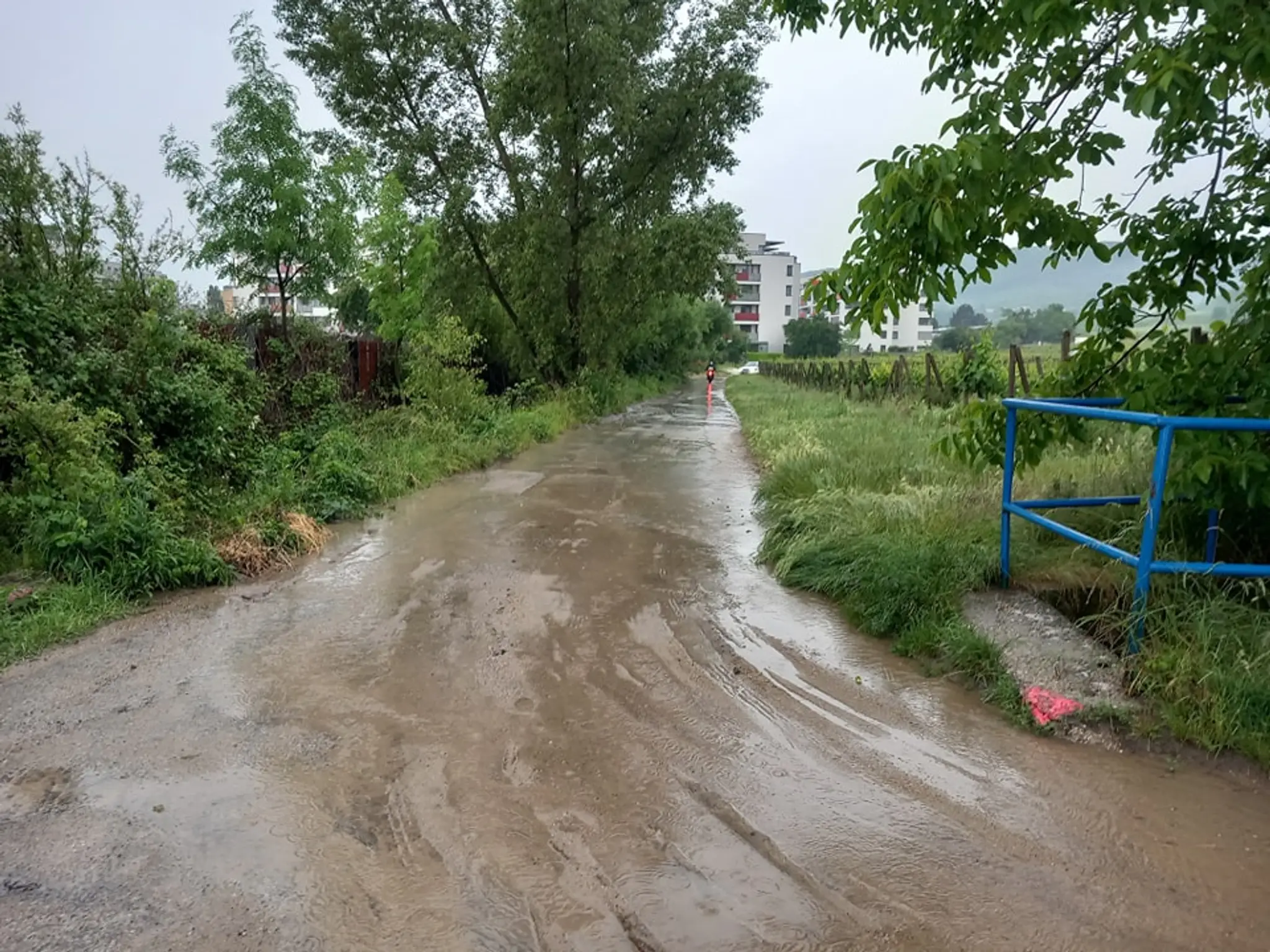 Situácia v Rači