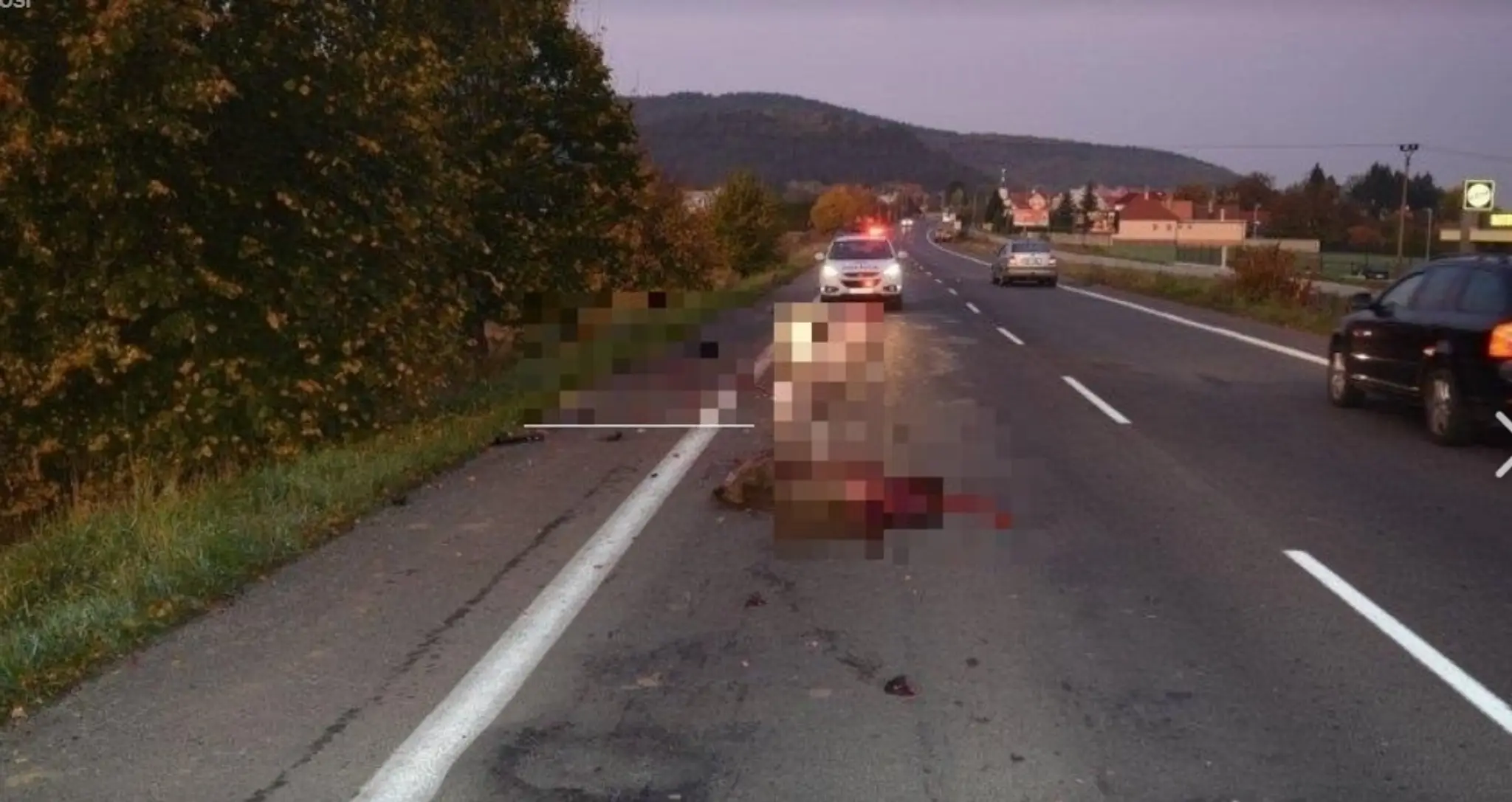 Zrazený medveď.