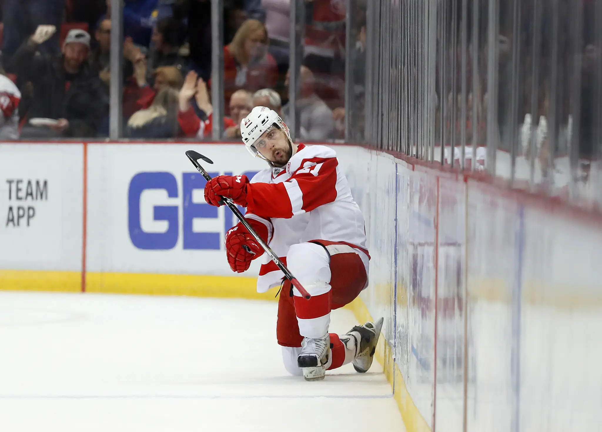 Tomáš Tatar sa teší po strelení gólu v zápase zámorskej hokejovej NHL Detroit Red Wings - Boston Bruins.