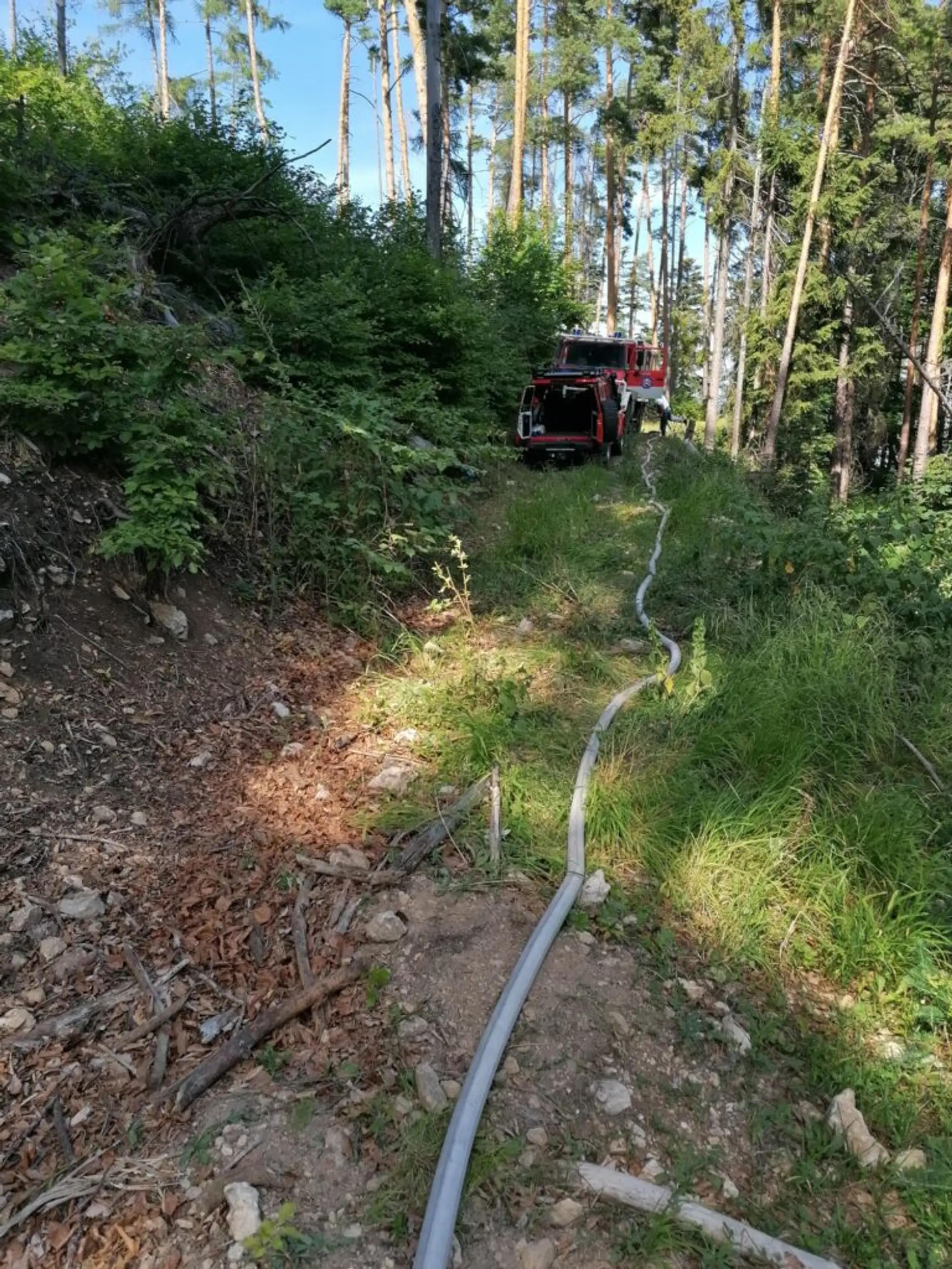 Hasenie požiaru