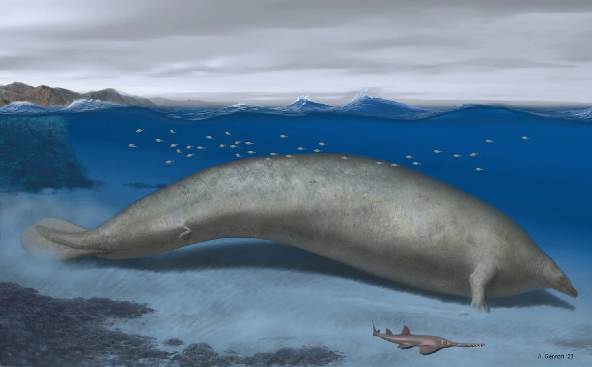 Umelecká vizualizácia prehistorickej veľryby.