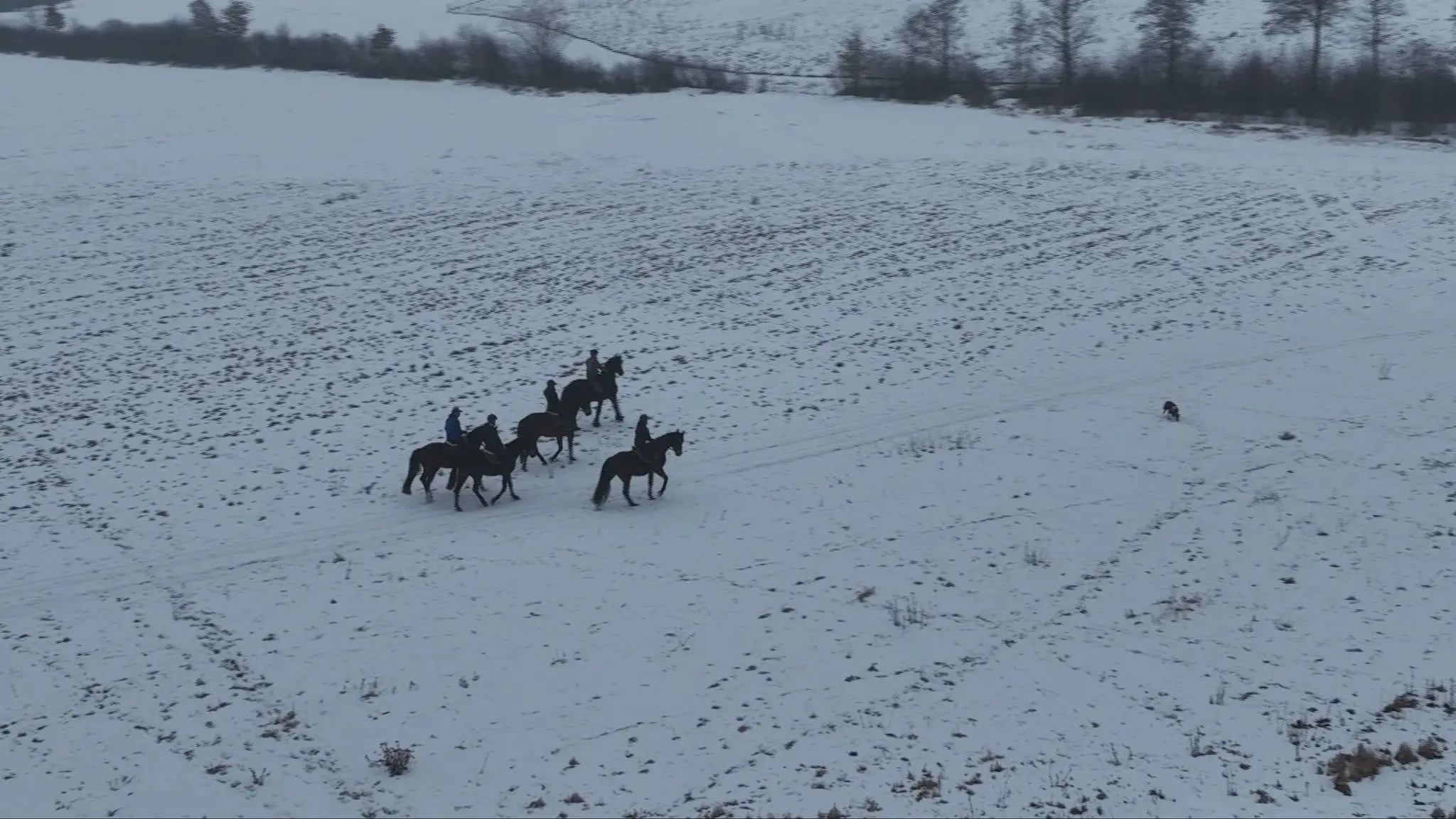 Vychádzka na koňoch pod Poľanou