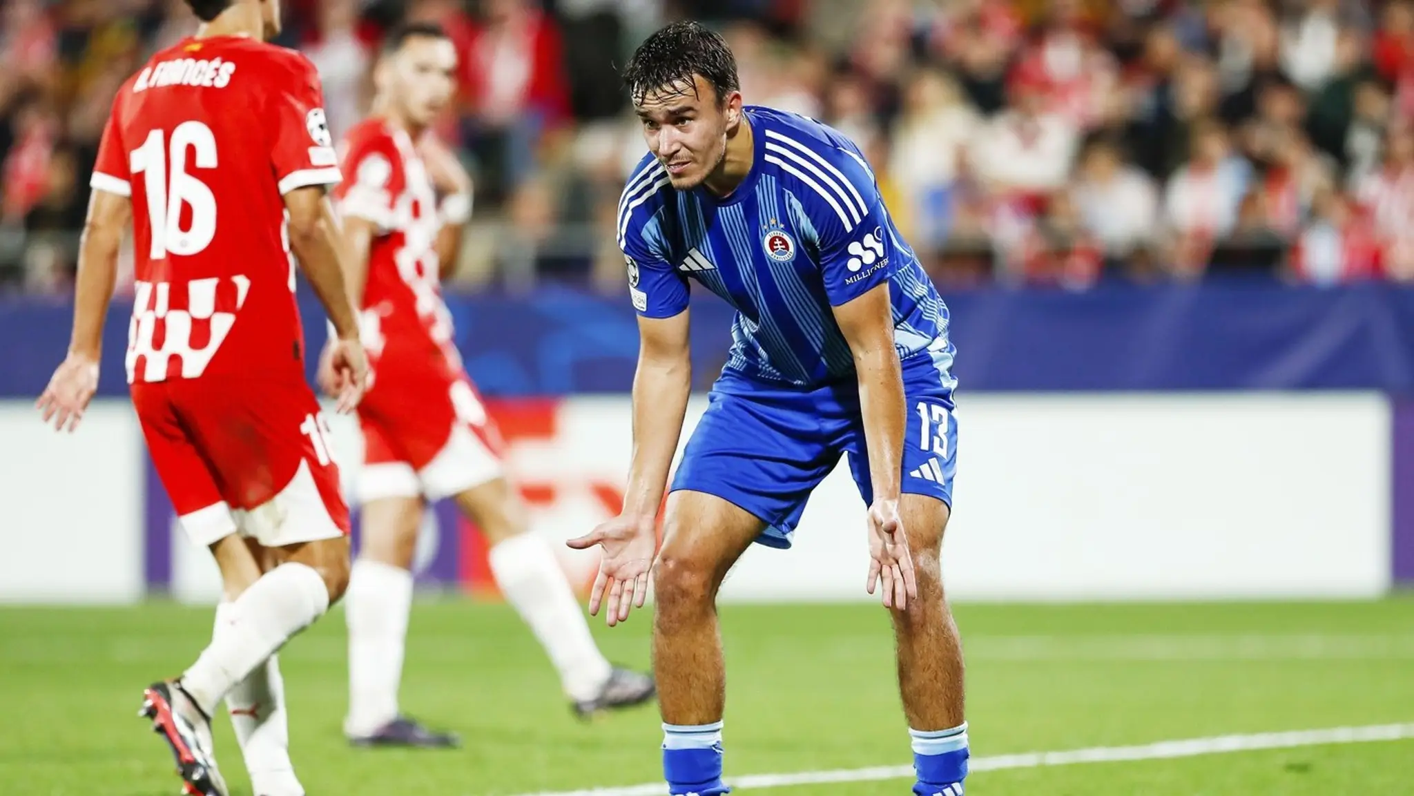 David Strelec.