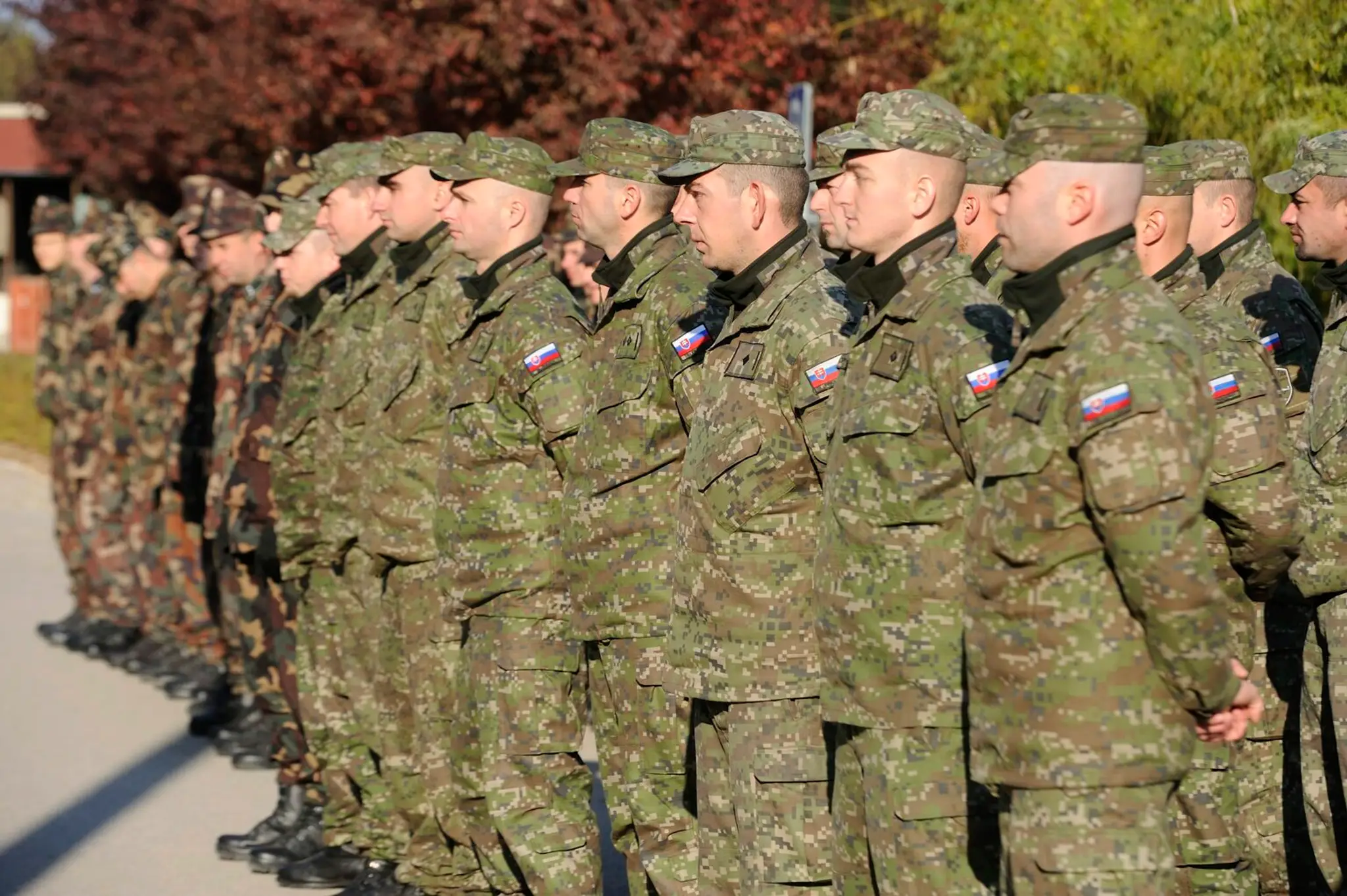Prijatie kontingentu 21 príslušníkov slovenskej armády, ktorí prišli na vojenské cvičenie Balaton 2015.jpg
