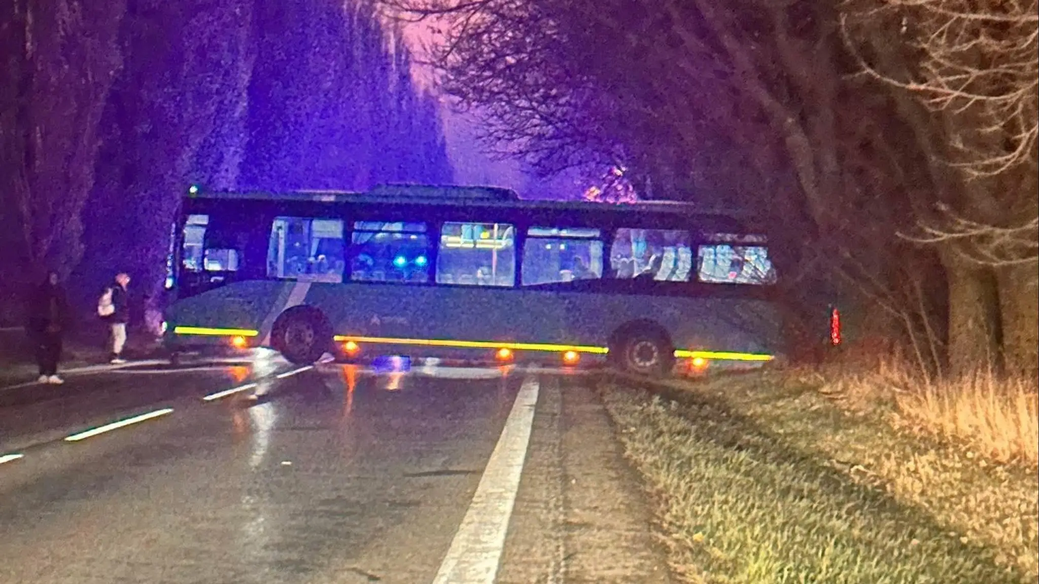 Na ceste prvej triedy pri obci Bučany v okrese Trnava sa stala tragická dopravná nehoda. (cropped)
