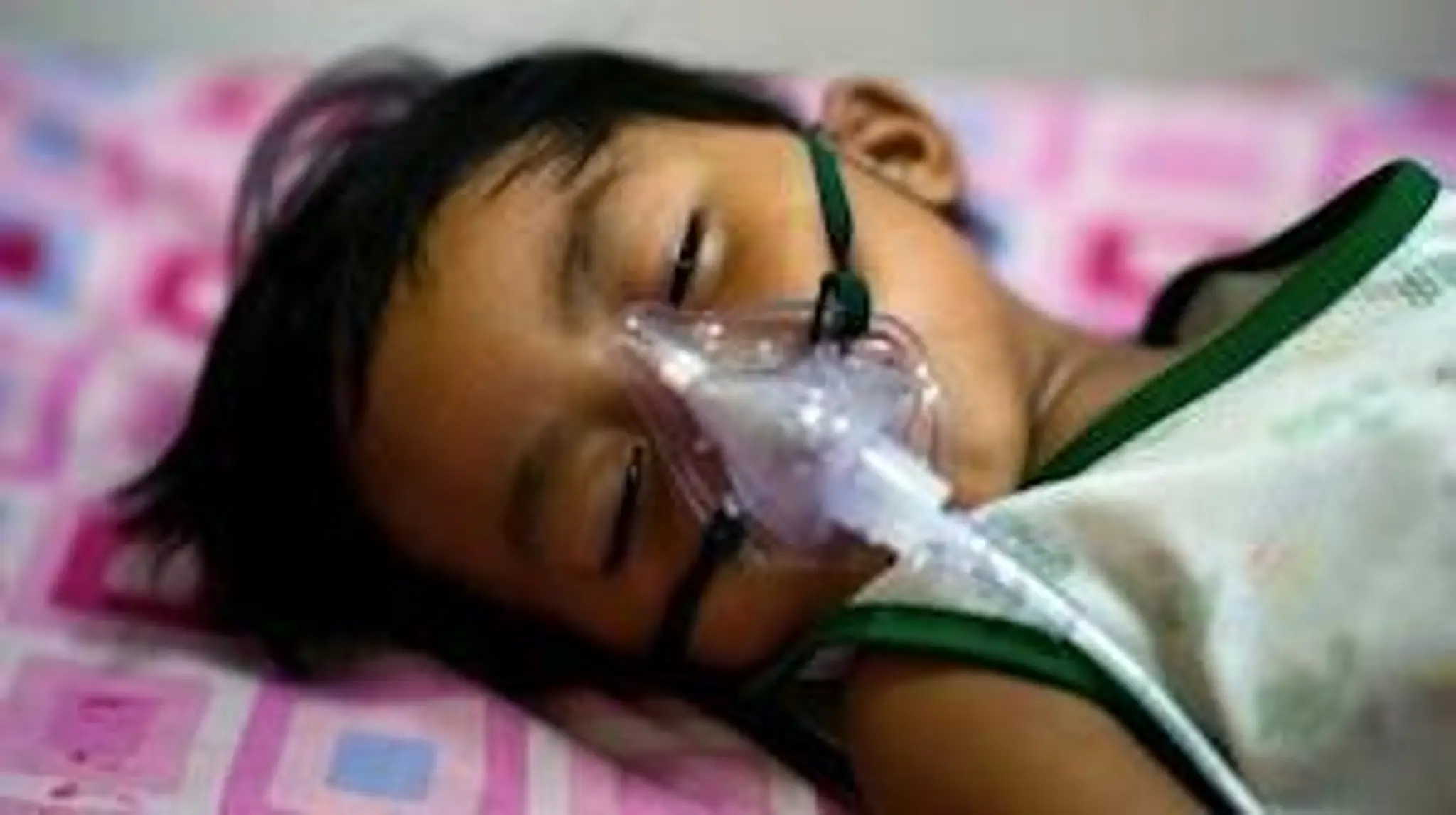 Dengue.jpg