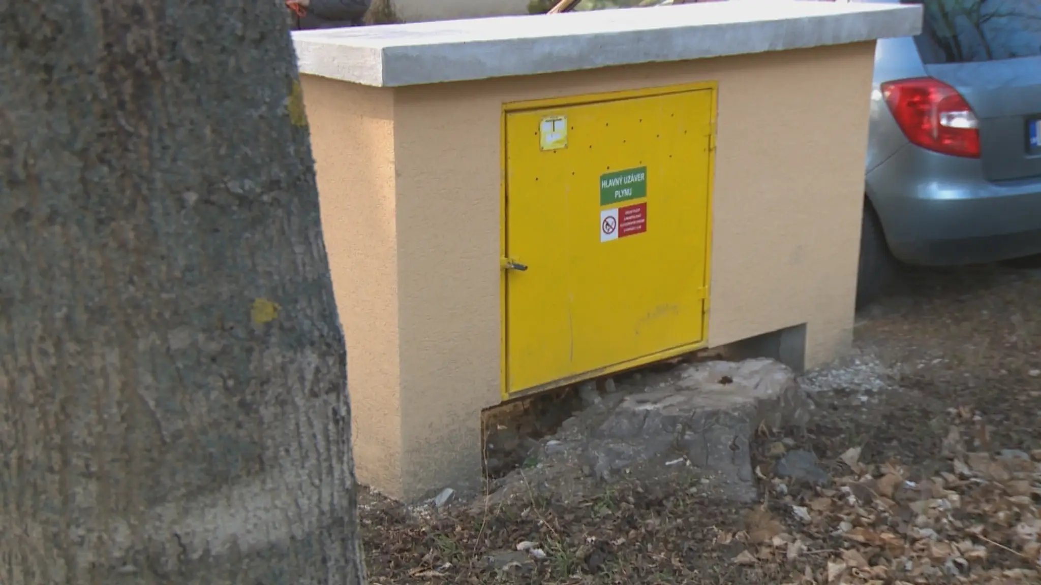 Korene stromu sa zamotali do vedenia plynu v Leviciach