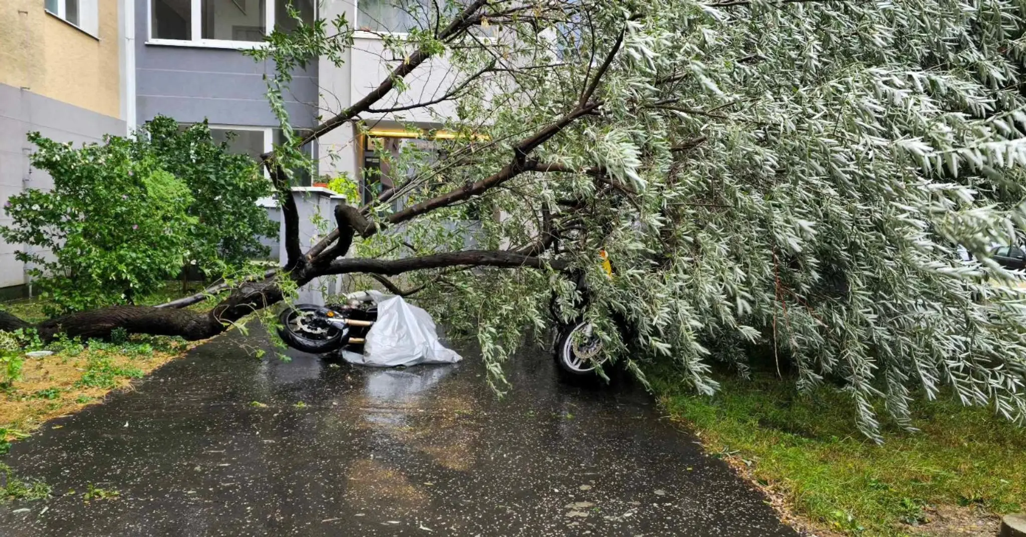 Technický zásah - padnutý strom na motocykle