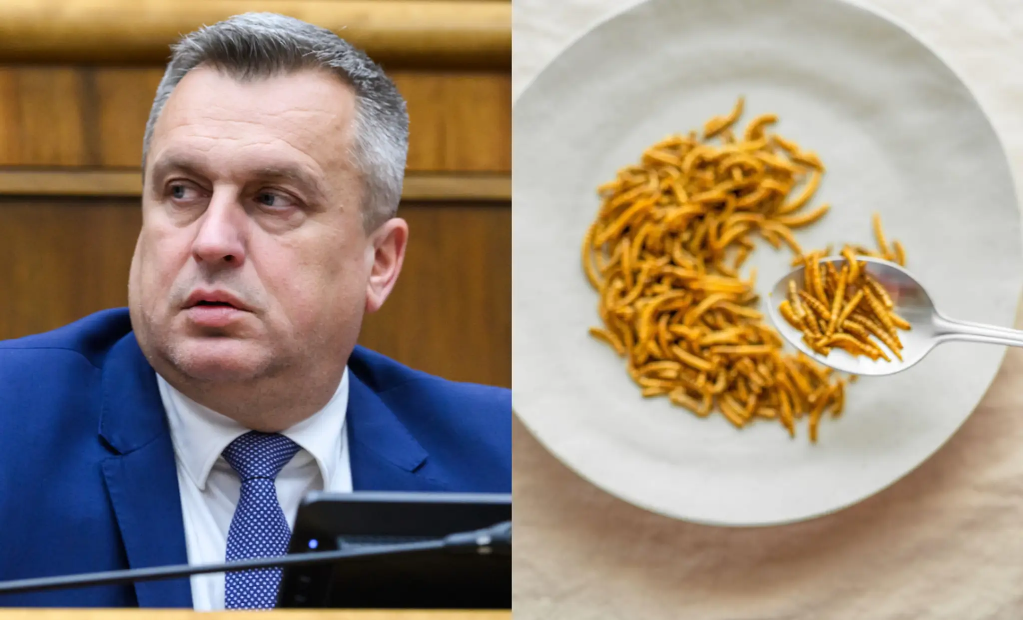 Andrej Danko, zákon SNS