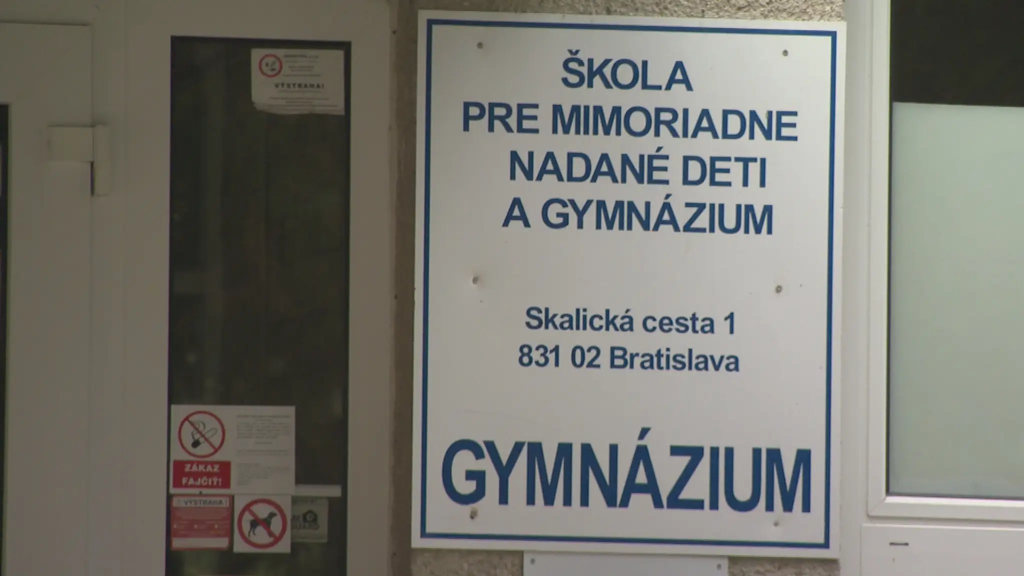 19 Problemovy mladik .transfer.jpg_bez_watermarku_1.1