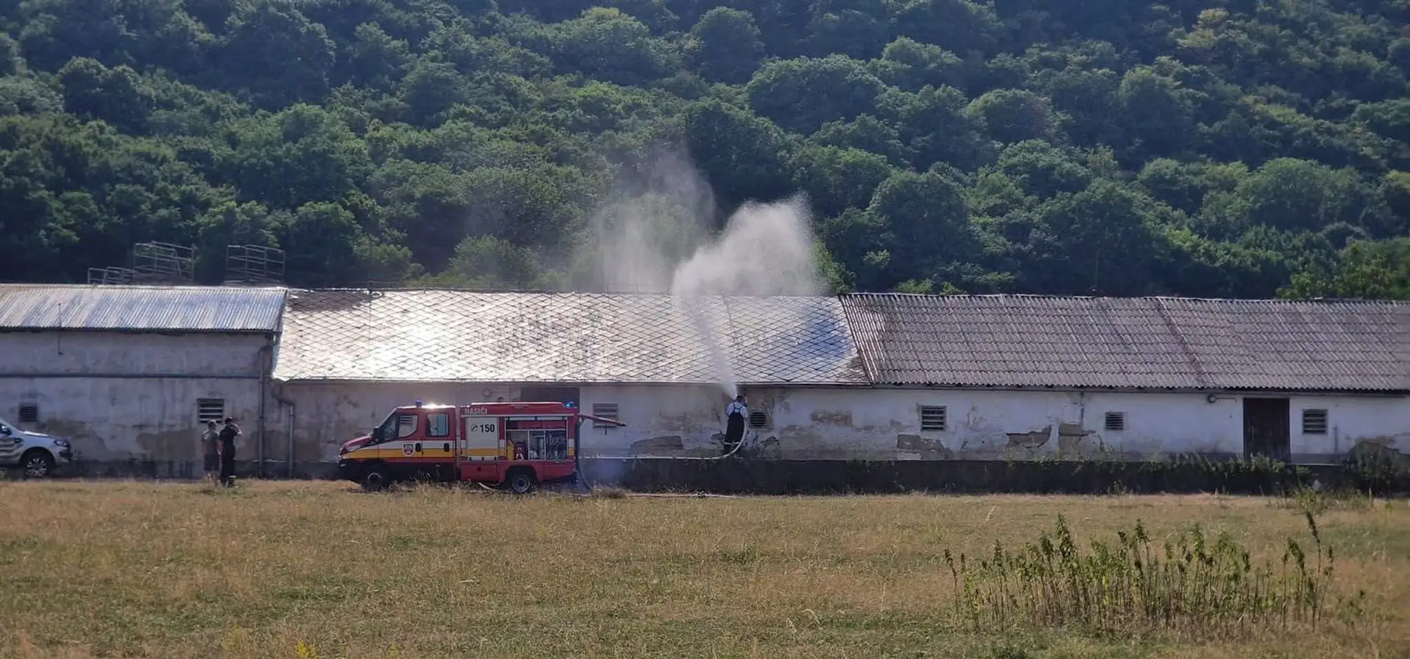 Záchrana kurčiat