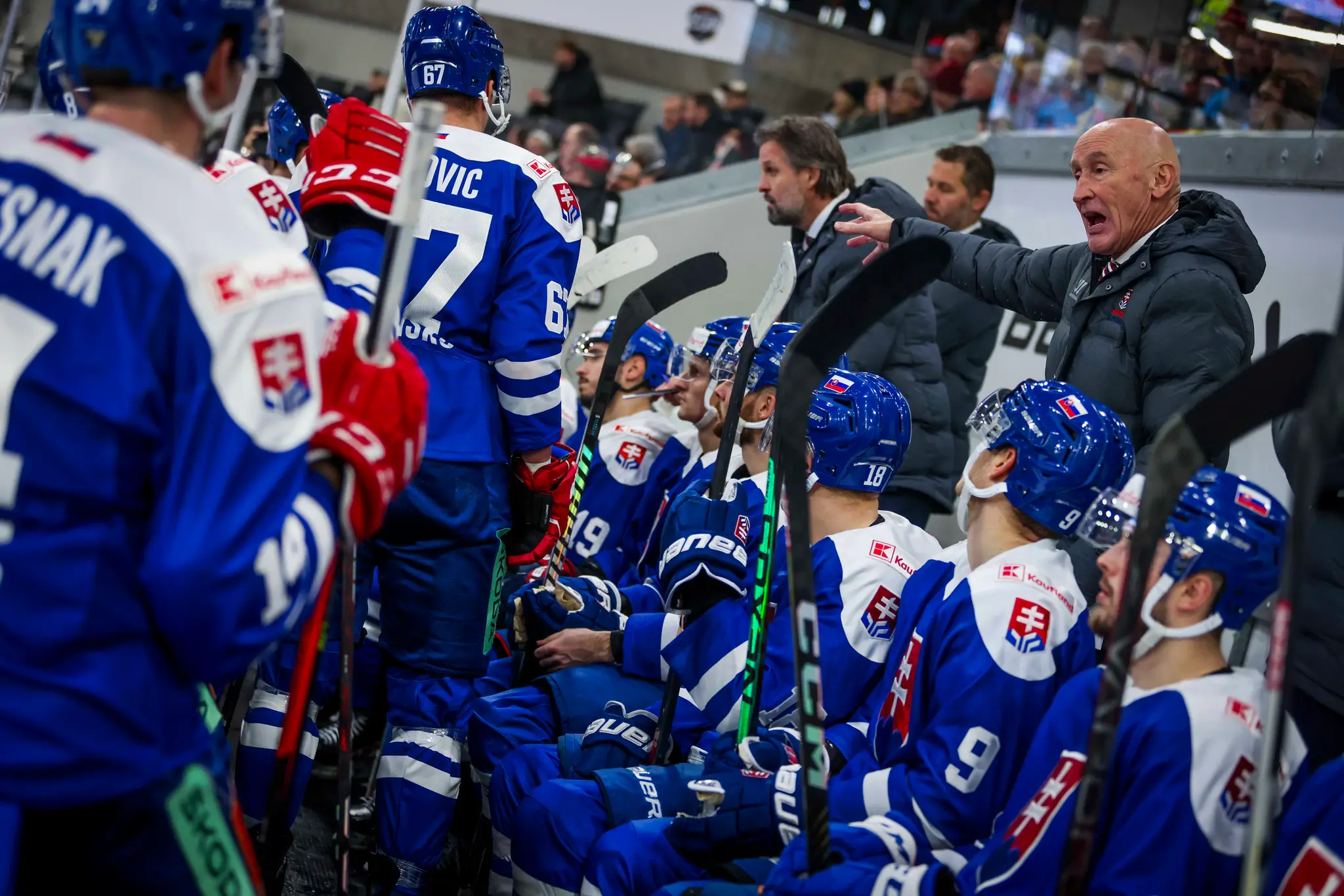 Na snímke vpravo hore tréner slovenskej reprezentácie Craig Ramsay v zápase Slovensko - Dánsko.