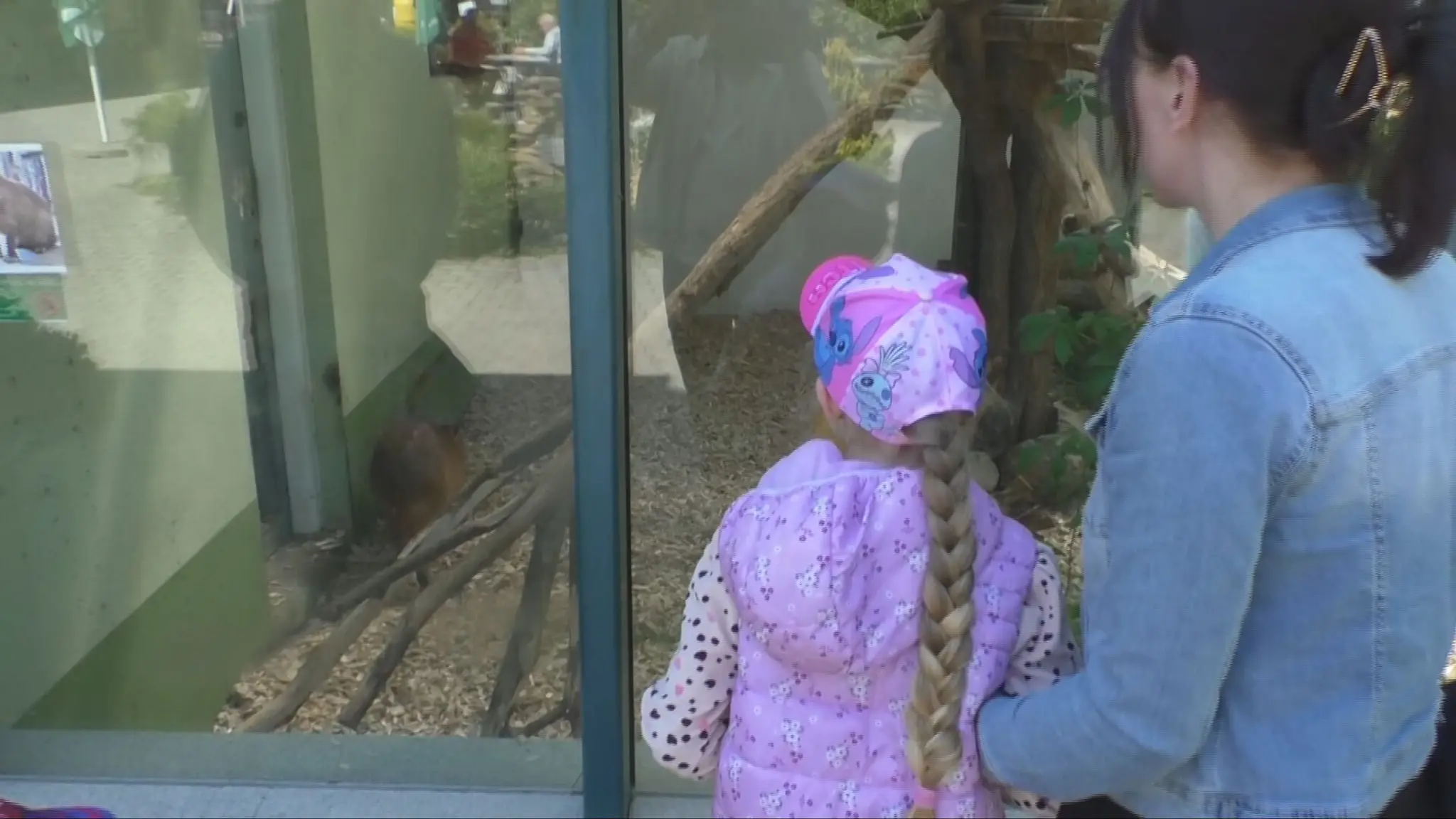 Bojnická ZOO konečne opäť otvorila svoje brány