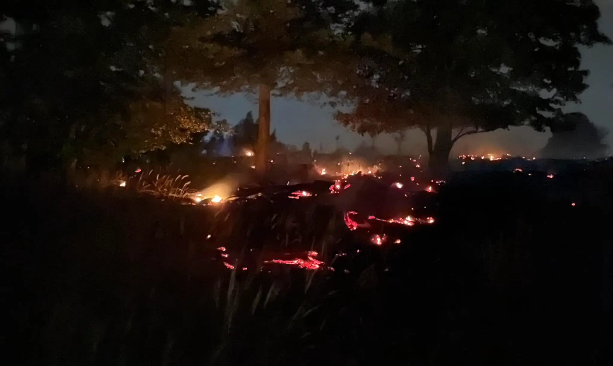 Požiar v Malých Karpatoch.
