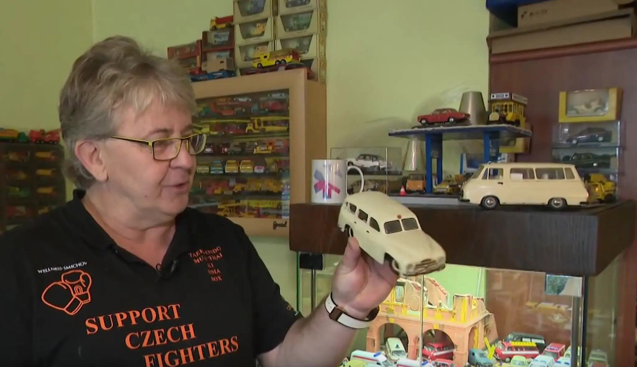 Zberateľ modelov sanitiek
