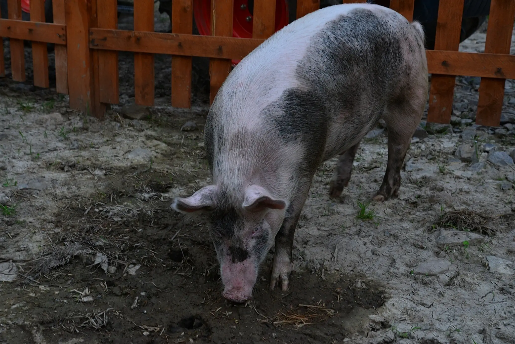 DSC_9911.JPG