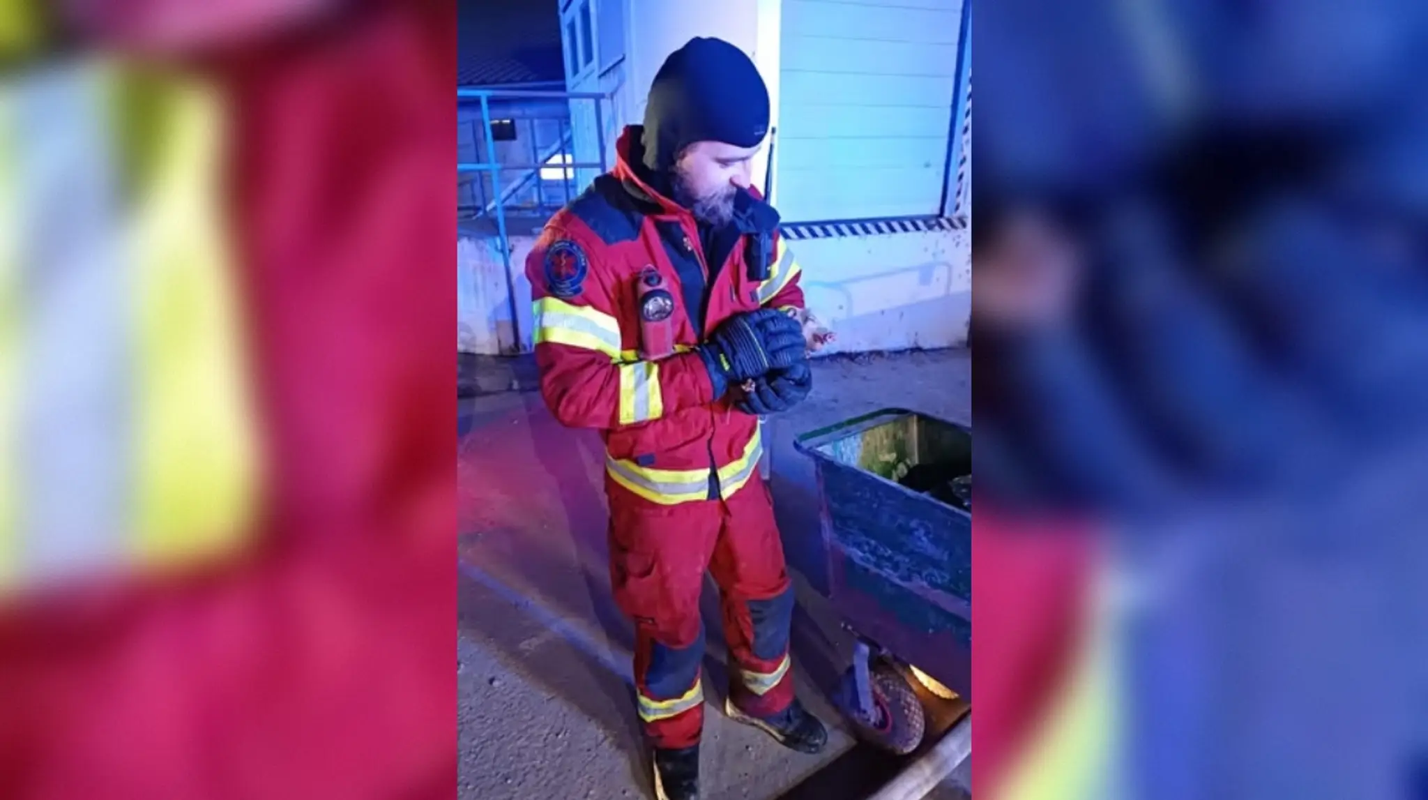 Zachraňovali aj novonarodené prasiatka. 