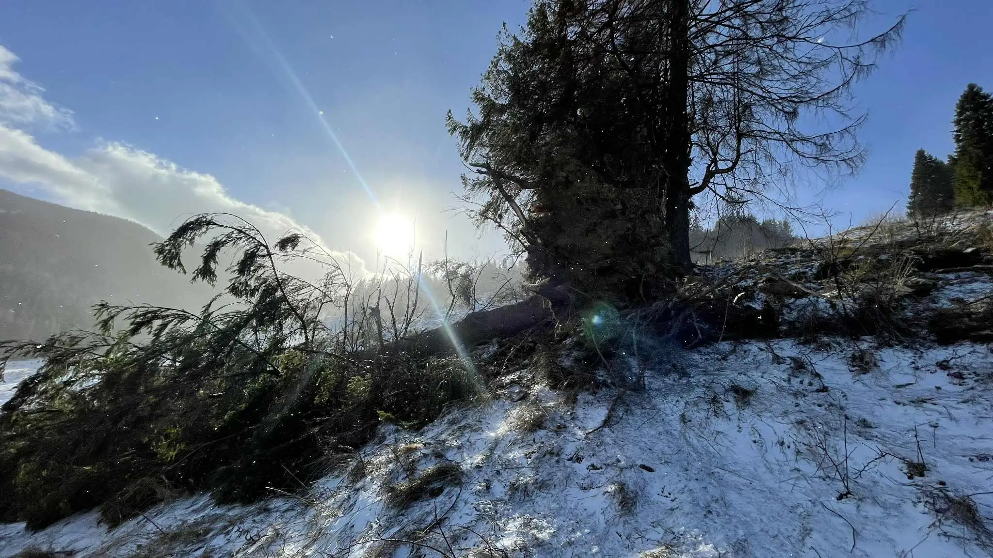 Silný vietor napáchal škody v SKI Resorte Smrečiny.