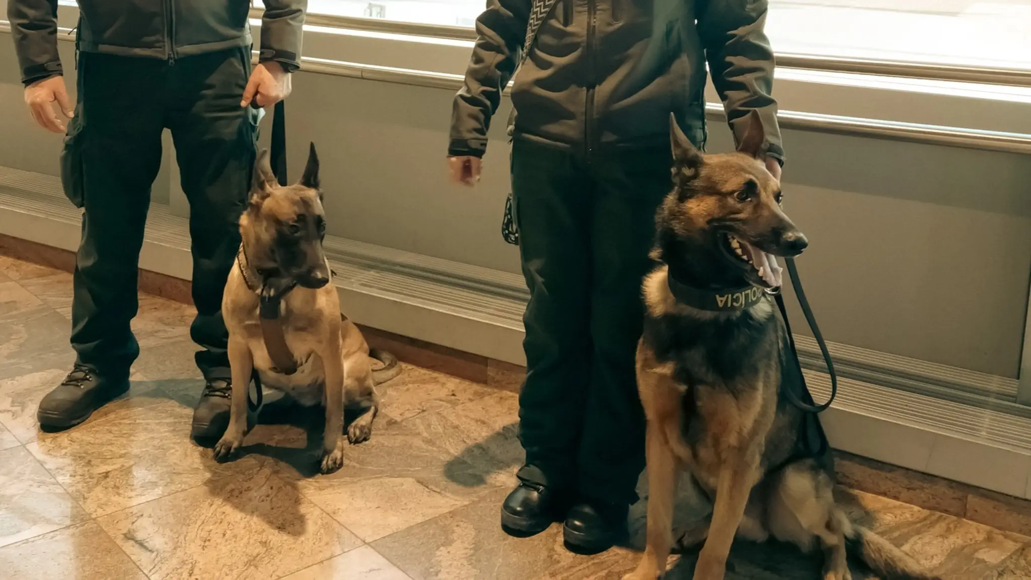 Tajomstvá o policajných psoch