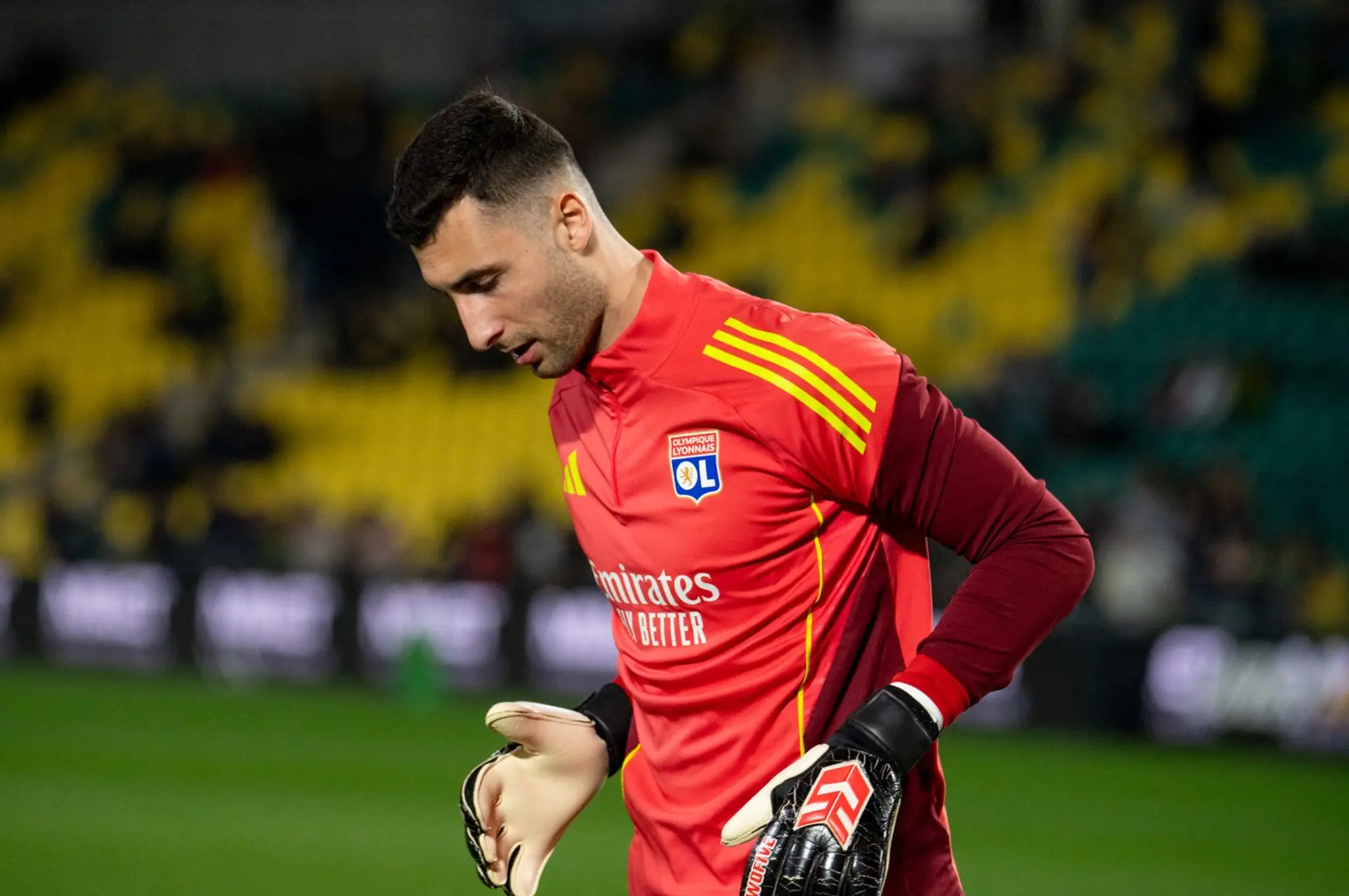 Dominik Greif