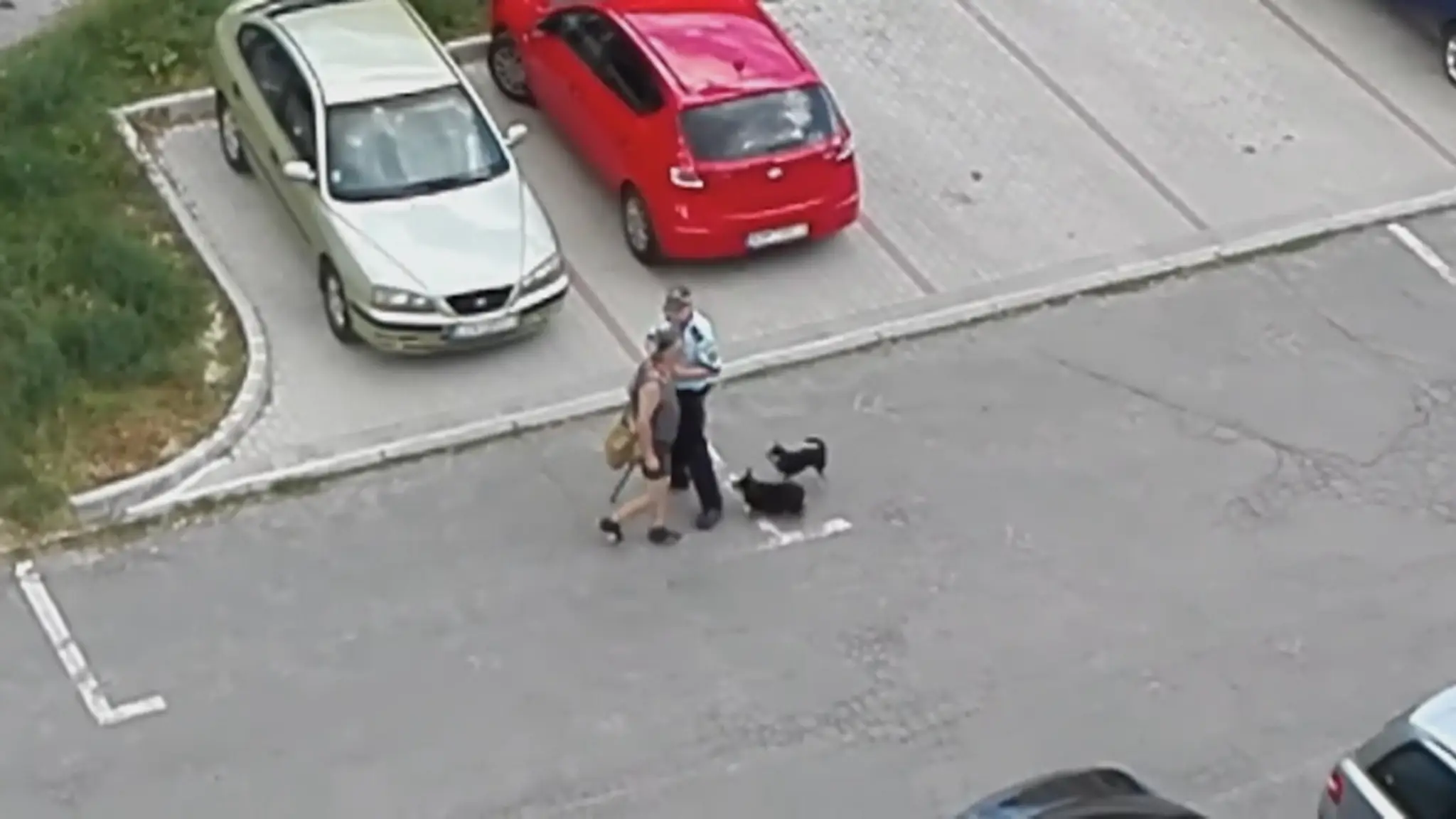 Mestskí policajt kontroluje psíčkara.