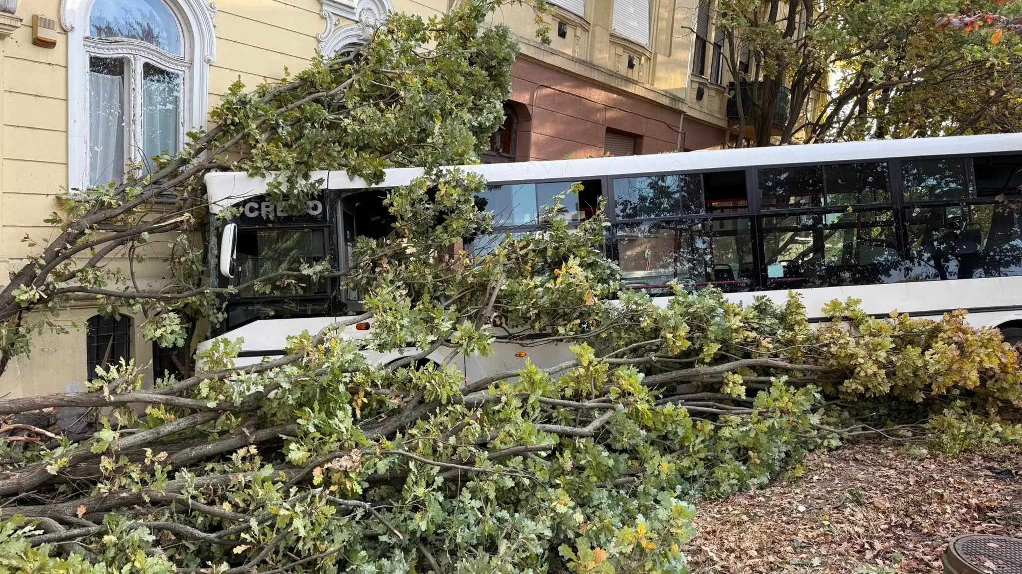 FOTO+VIDEO: Desivá nehoda u našich susedov: Autobus narazil do budovy gymnázia, viacero ľudí sa zranilo