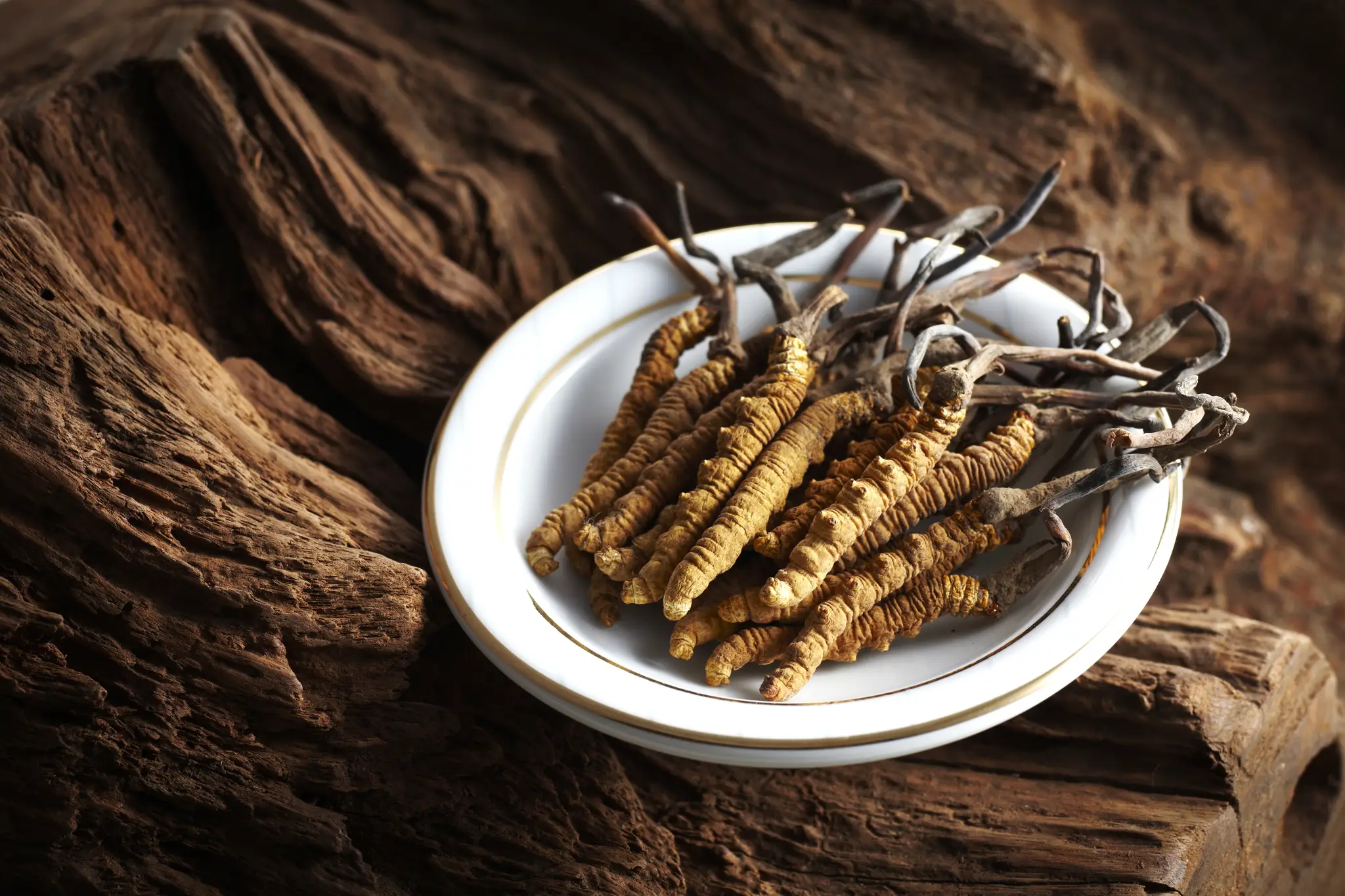 Cordyceps sinensis ako prísada do jedla aj ako liek