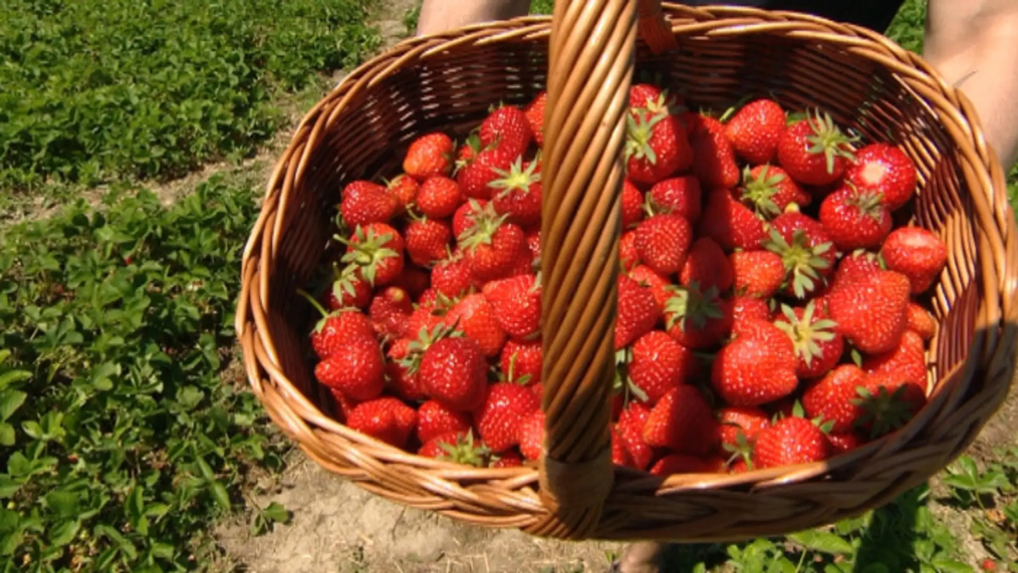 profimedia-0247339275.jpg